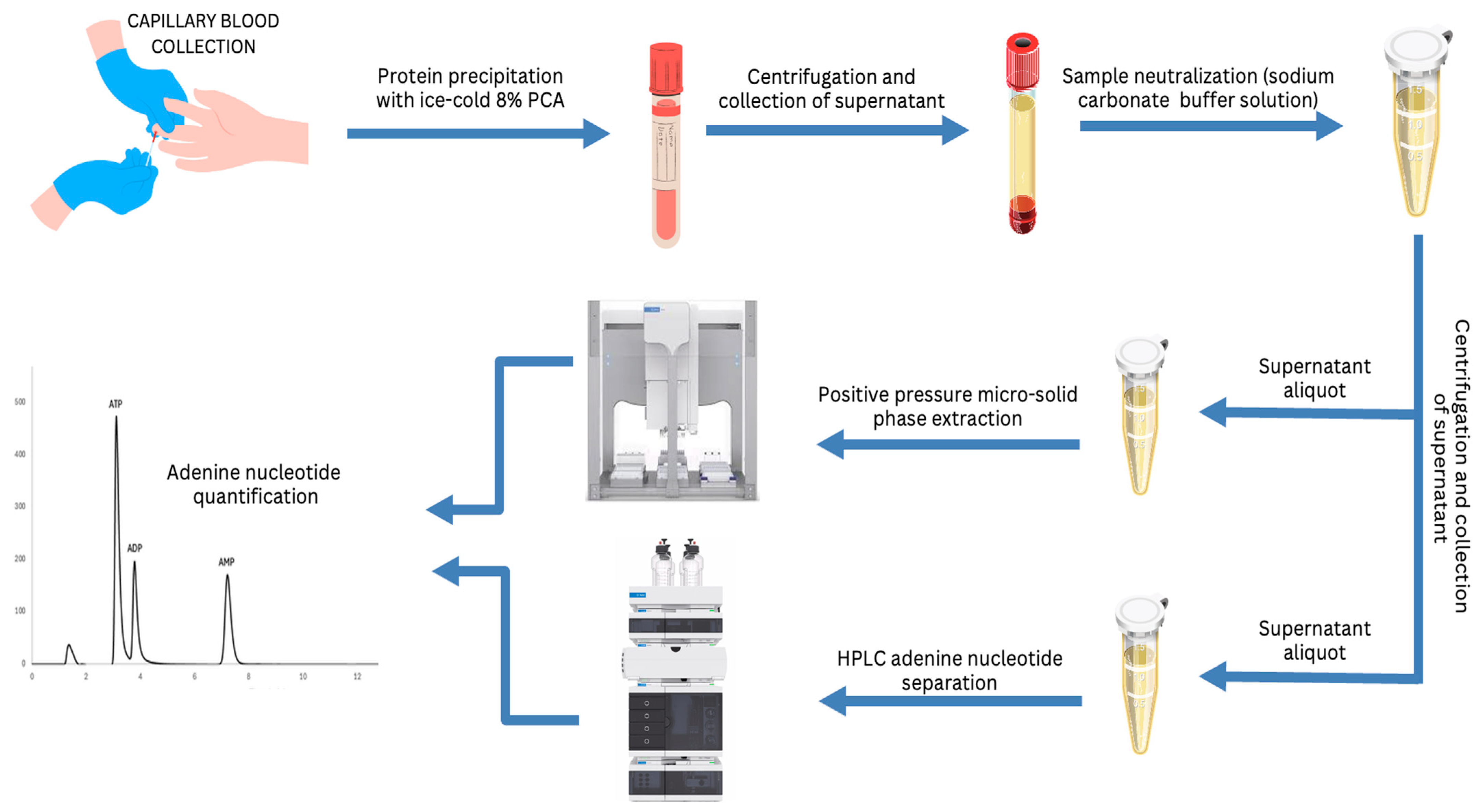 Molecules 29 05630 g004 Molecules 29 05630 g004
