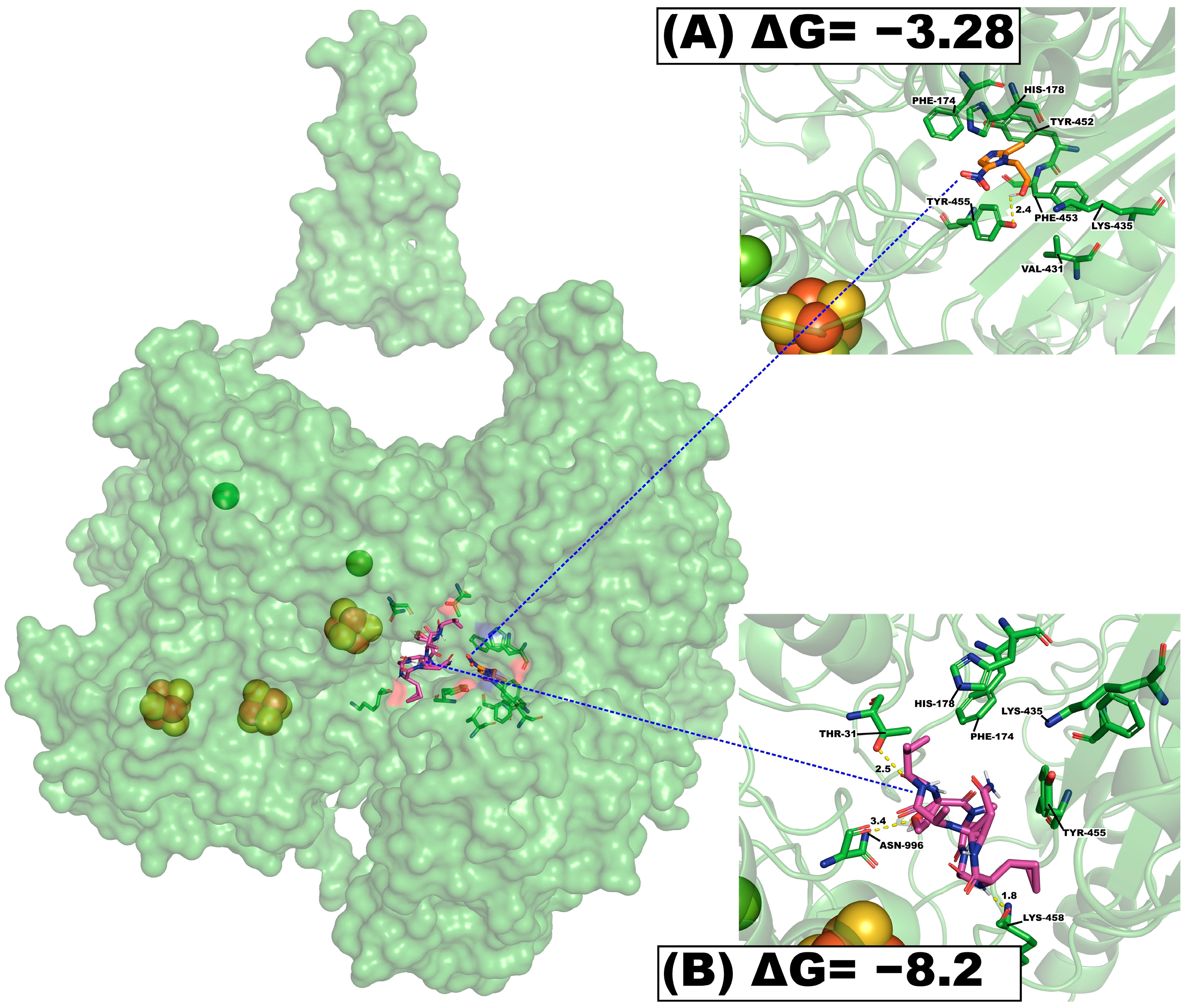 Molecules 29 05636 g004