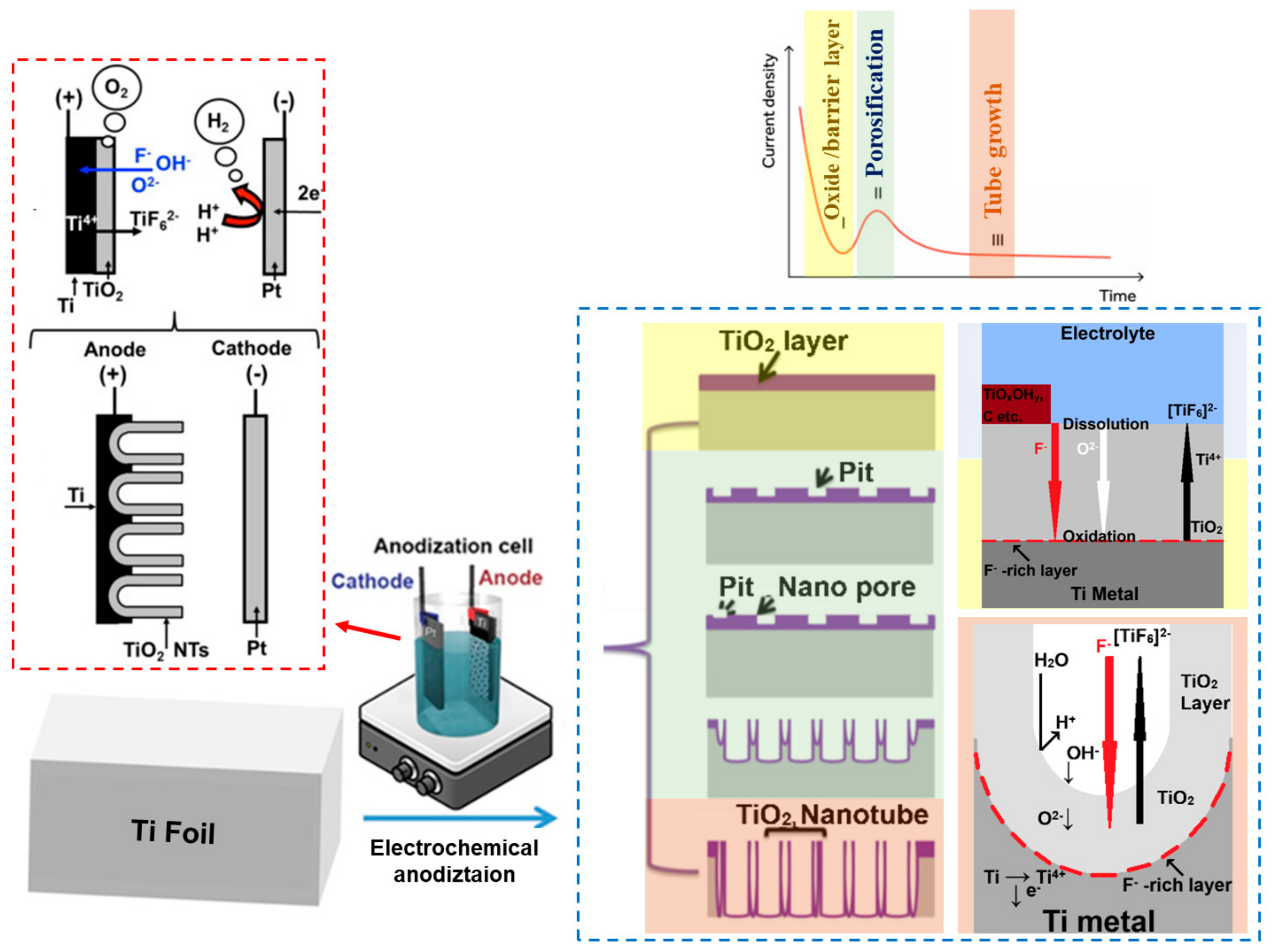 Molecules 29 05638 g001