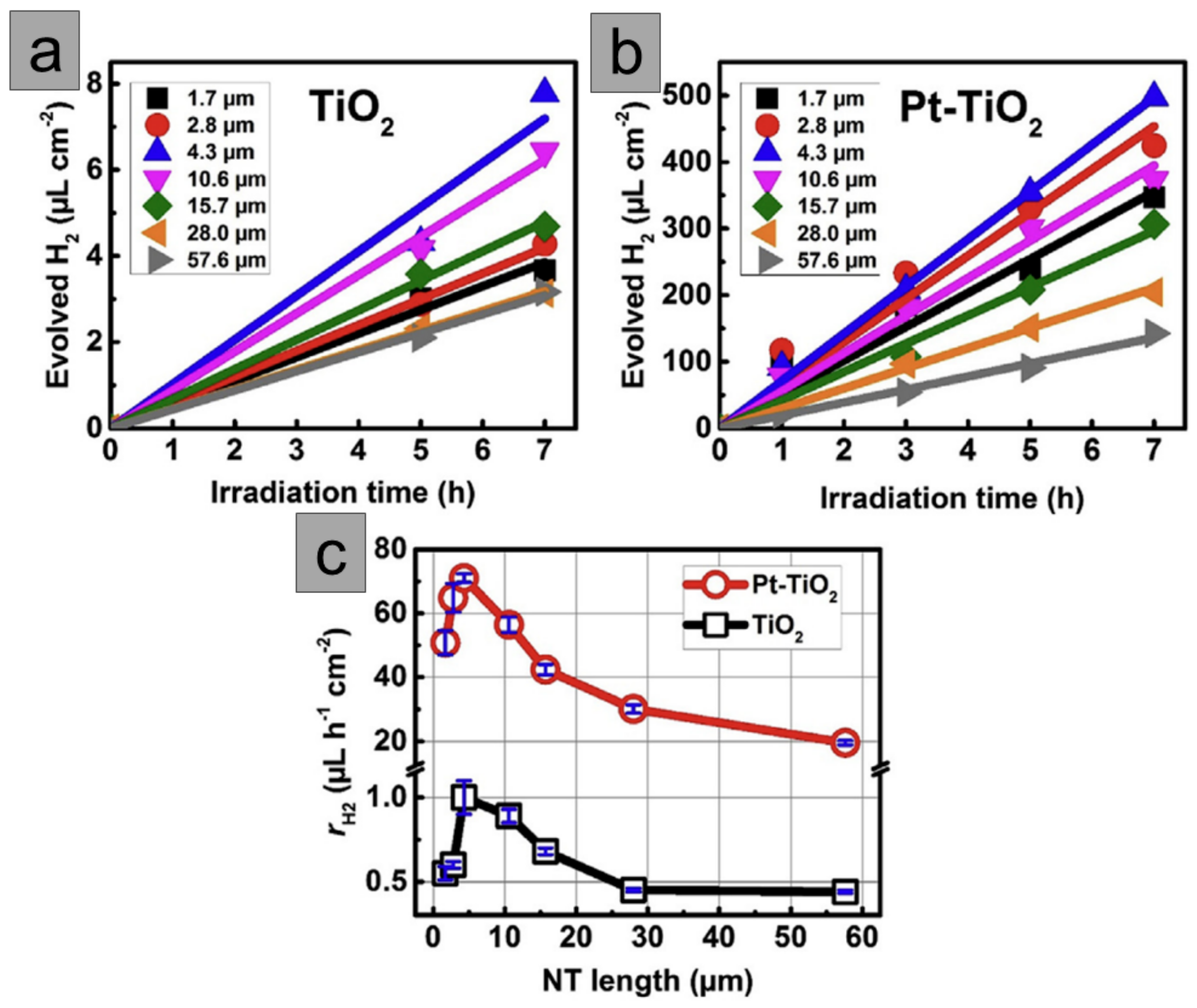 Molecules 29 05638 g004