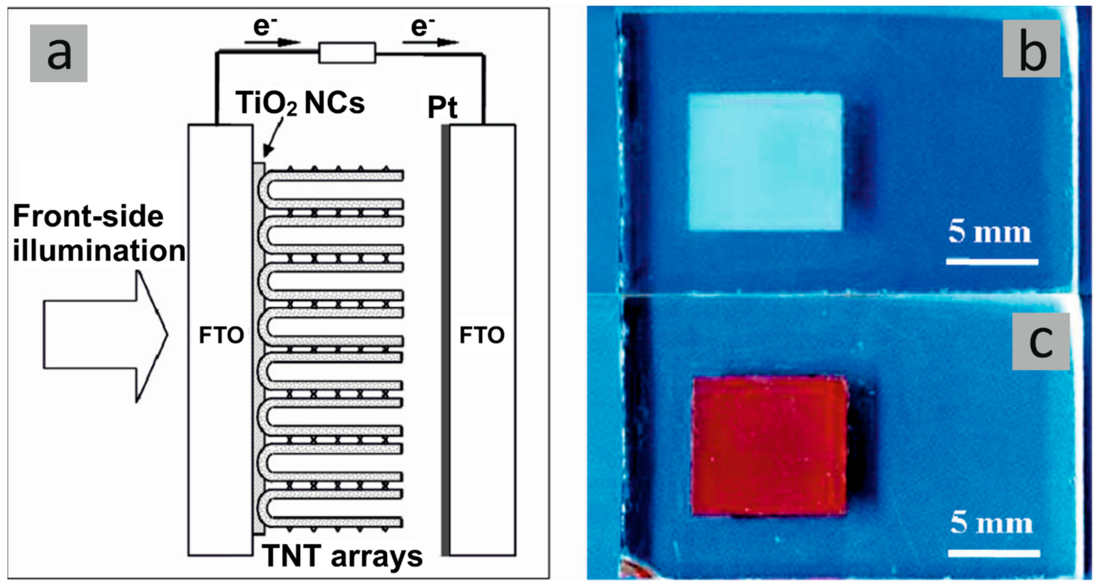 Molecules 29 05638 g005