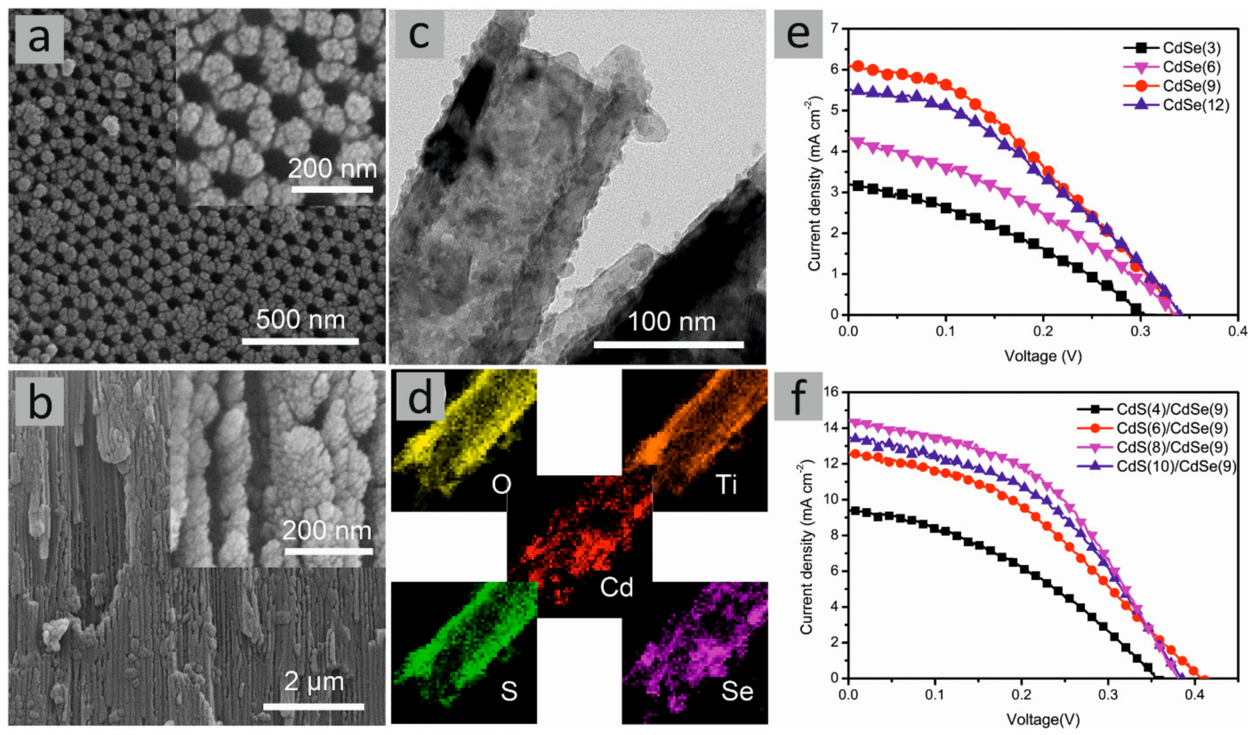 Molecules 29 05638 g007
