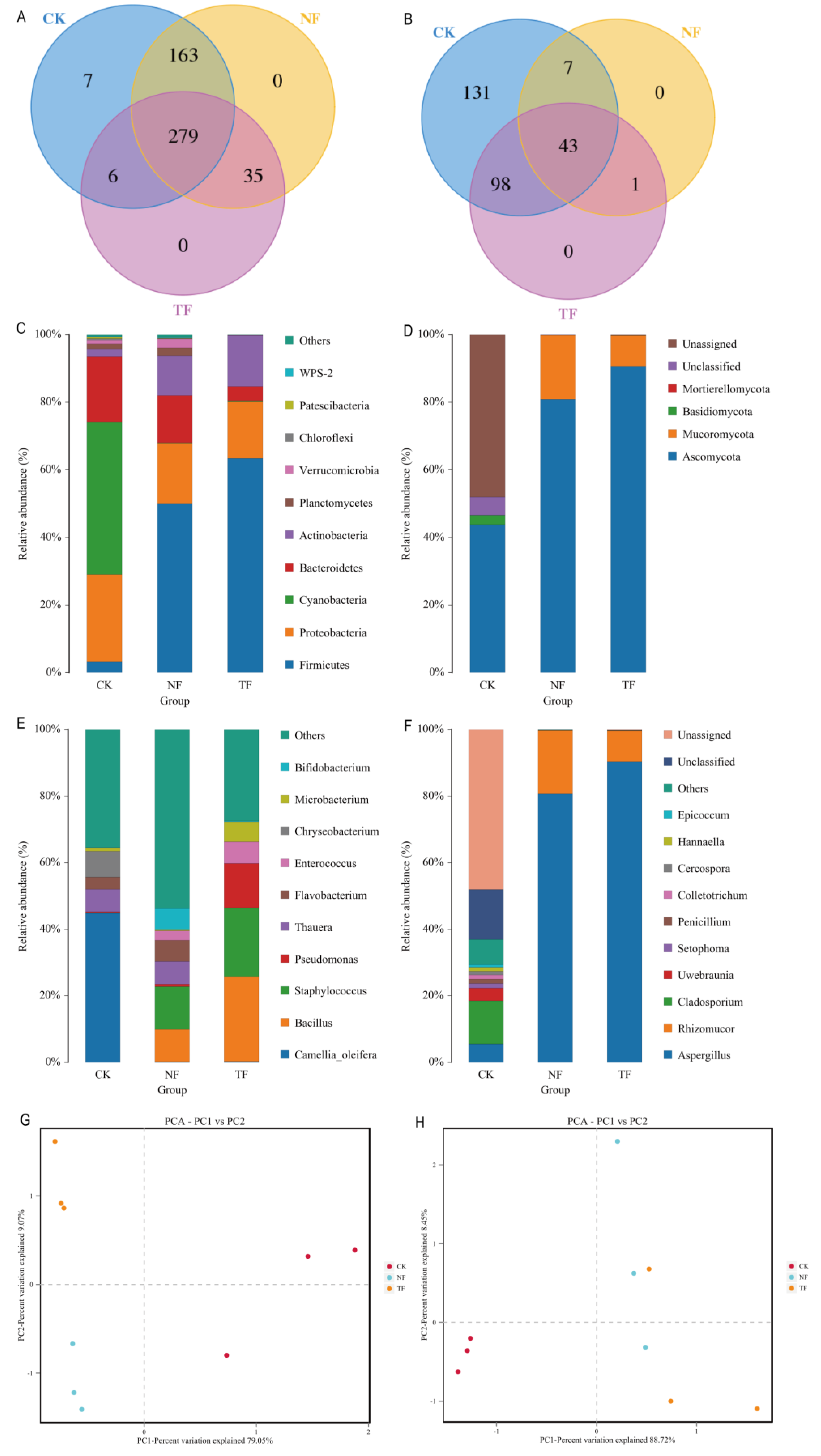 Molecules 29 05647 g004