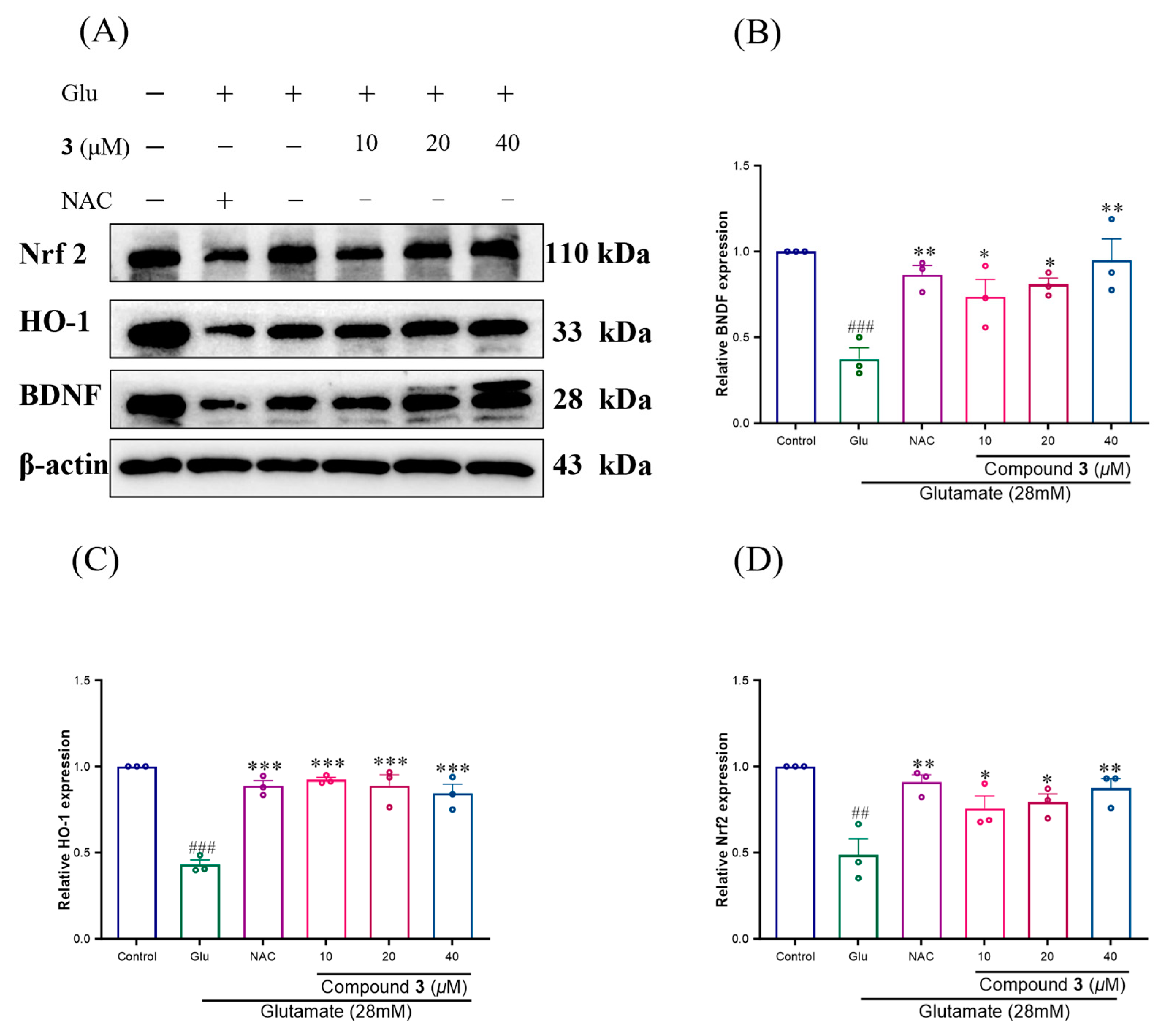 Molecules 29 05648 g012