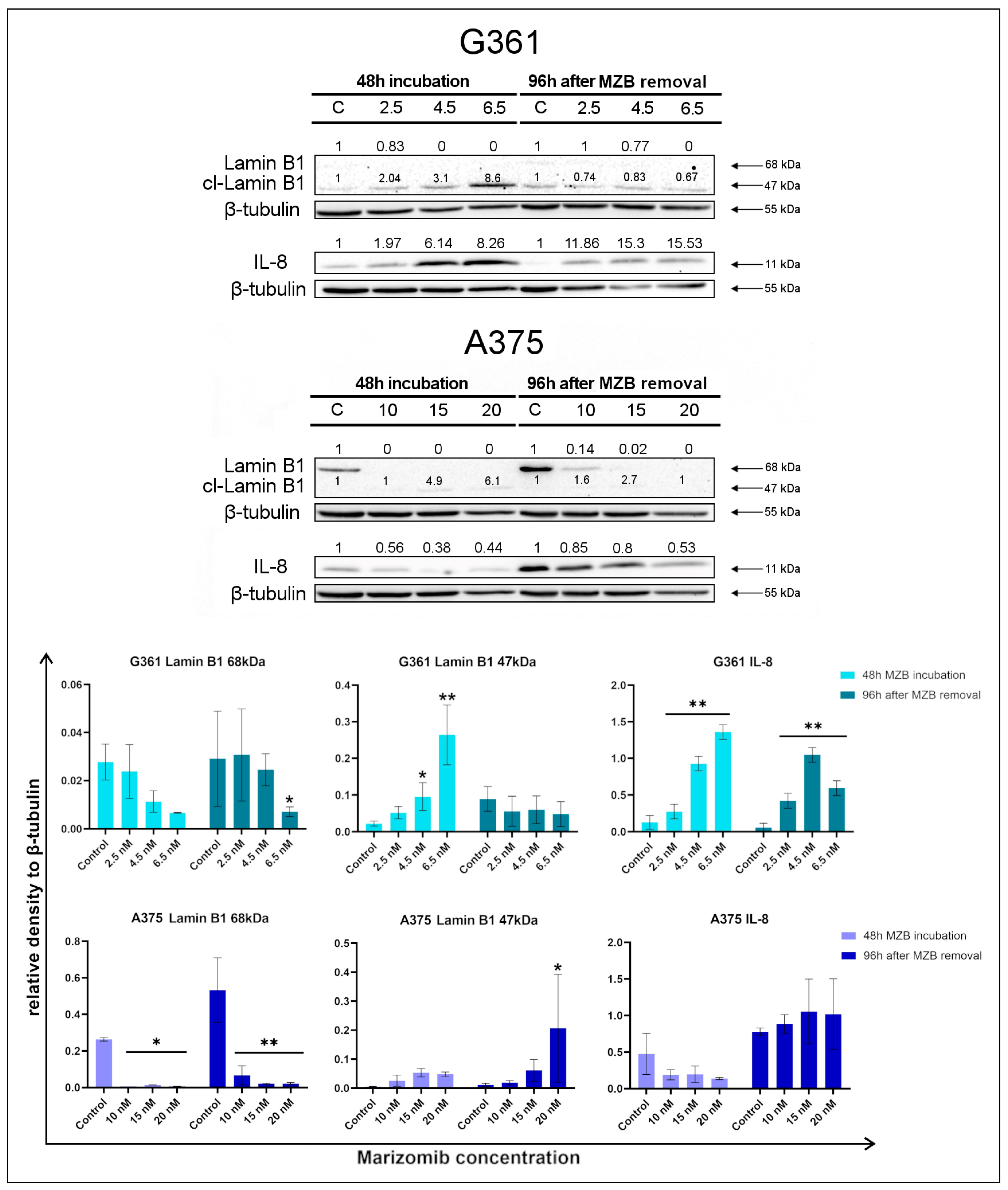 Molecules 29 05652 g002
