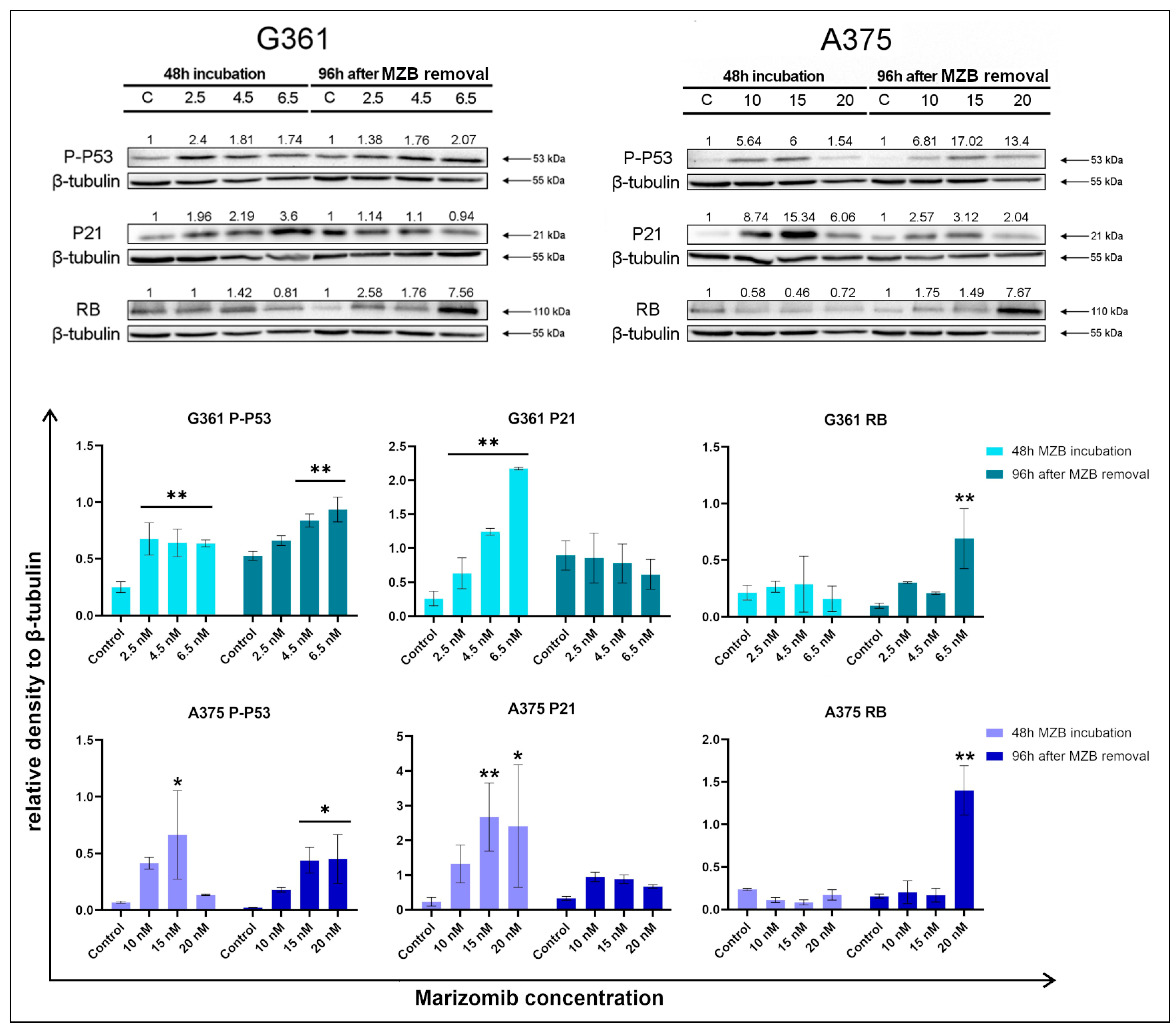 Molecules 29 05652 g004