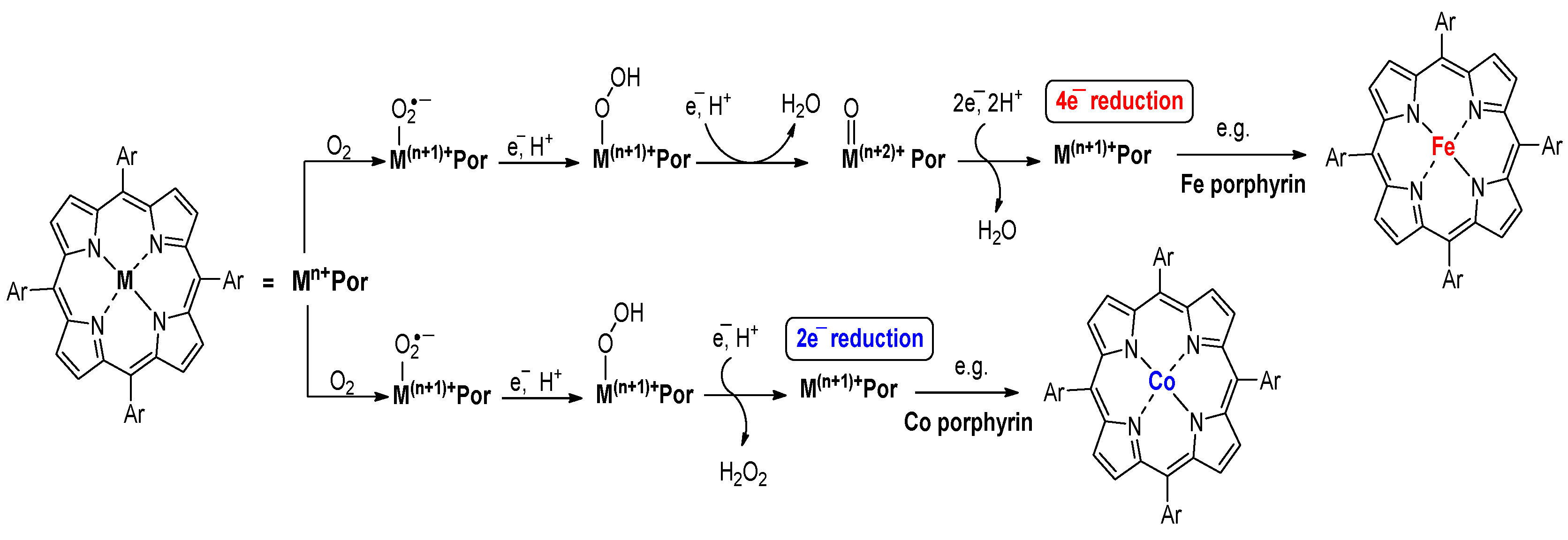 Molecules 29 05655 g003