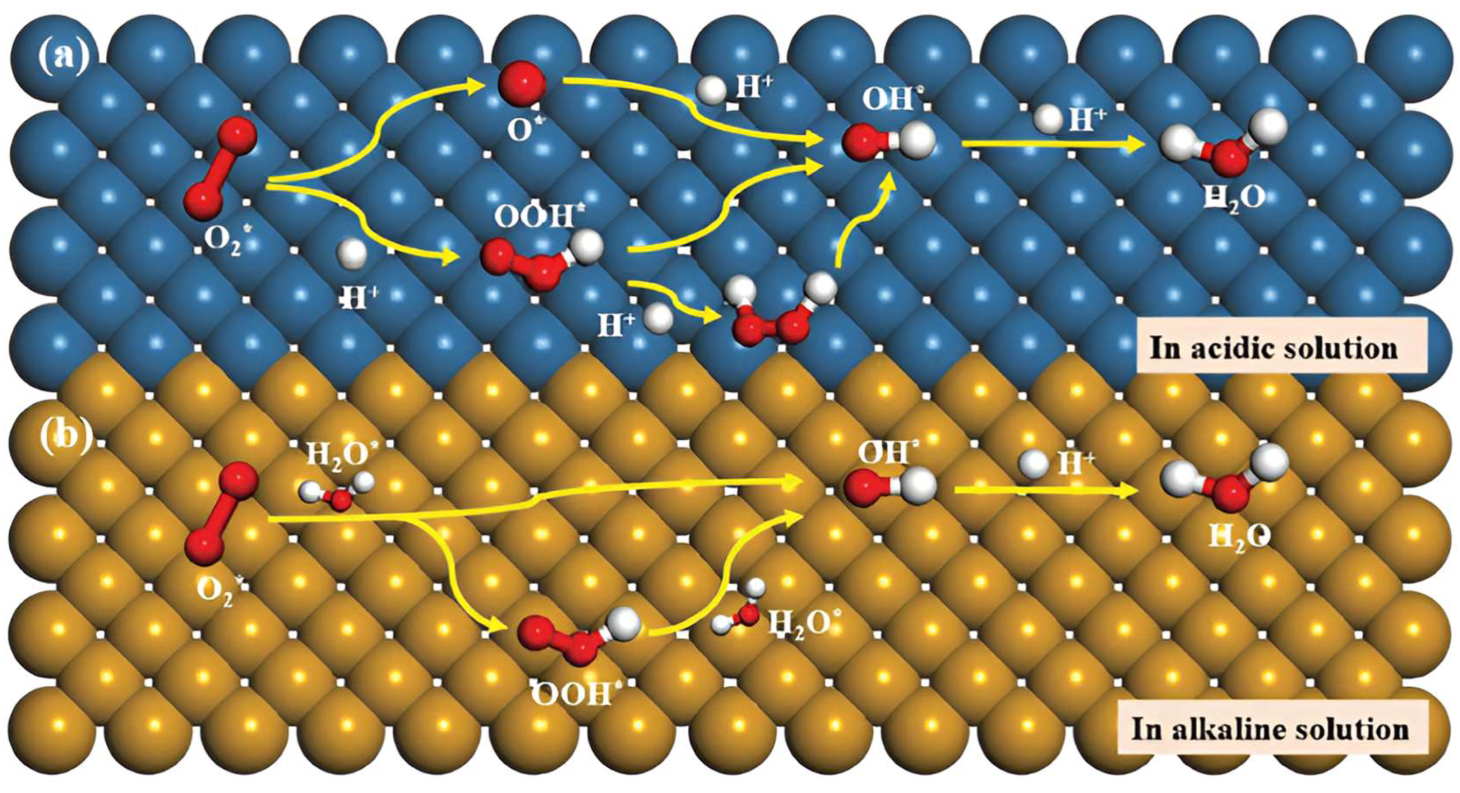 Molecules 29 05655 g004
