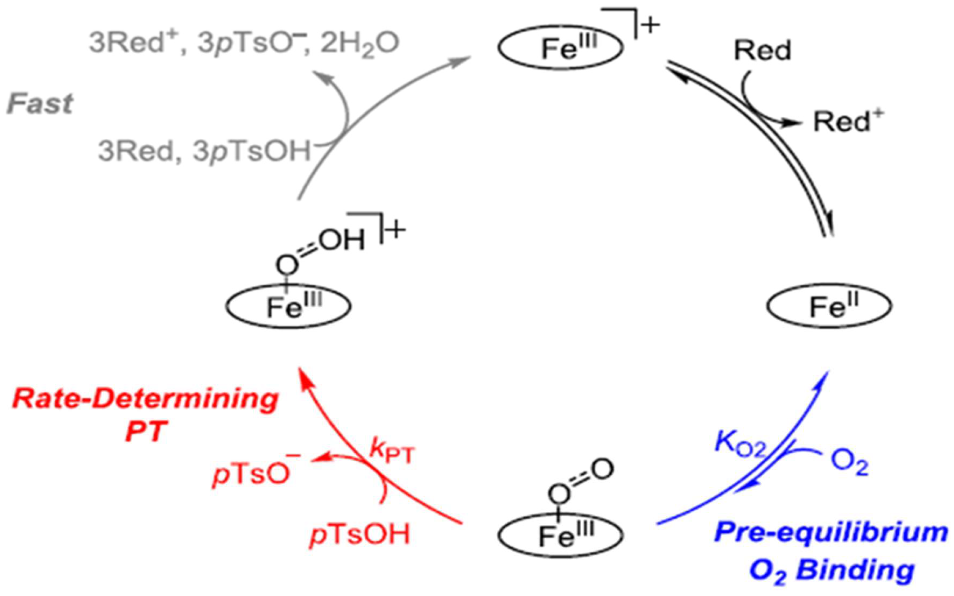 Molecules 29 05655 g005