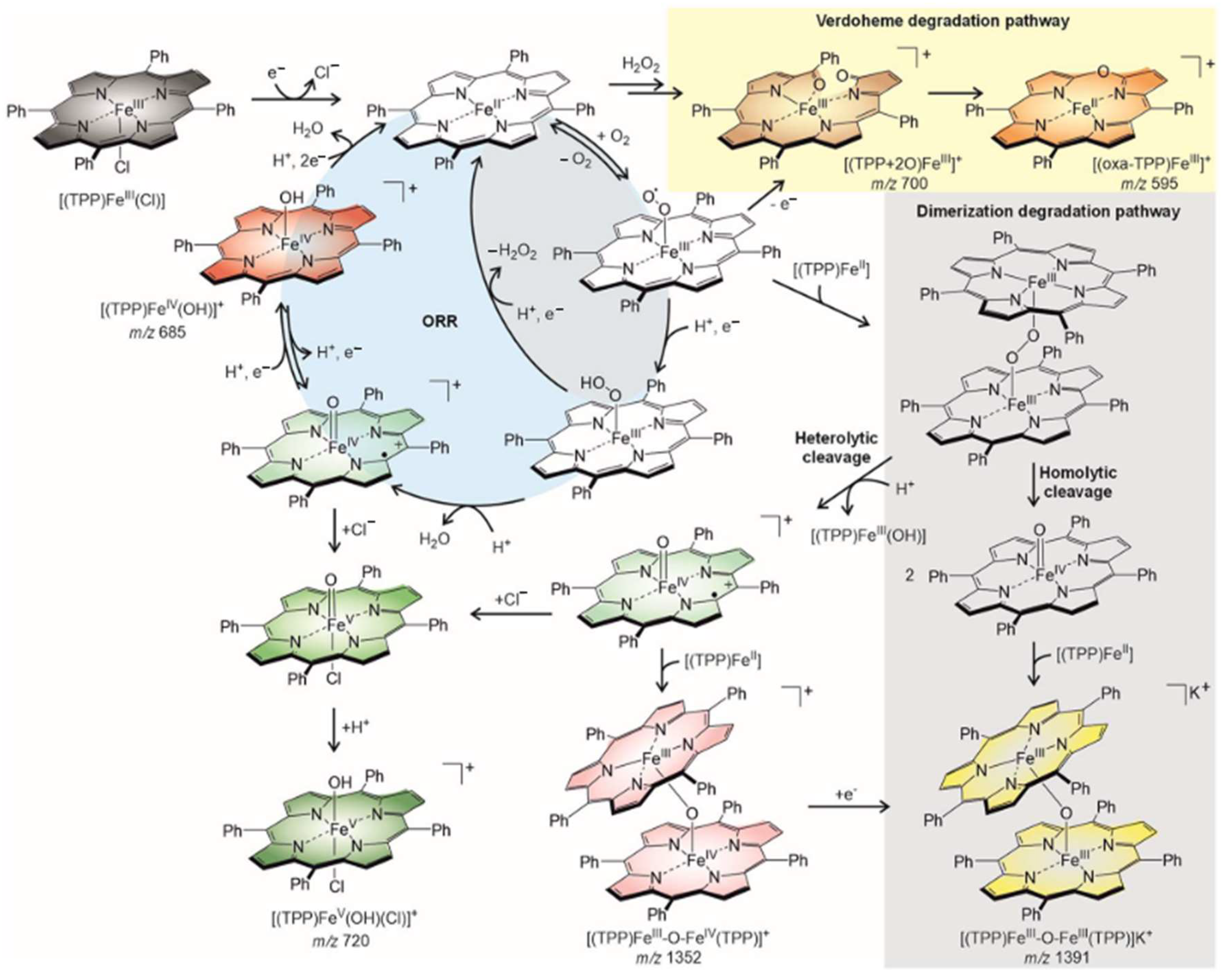 Molecules 29 05655 g006