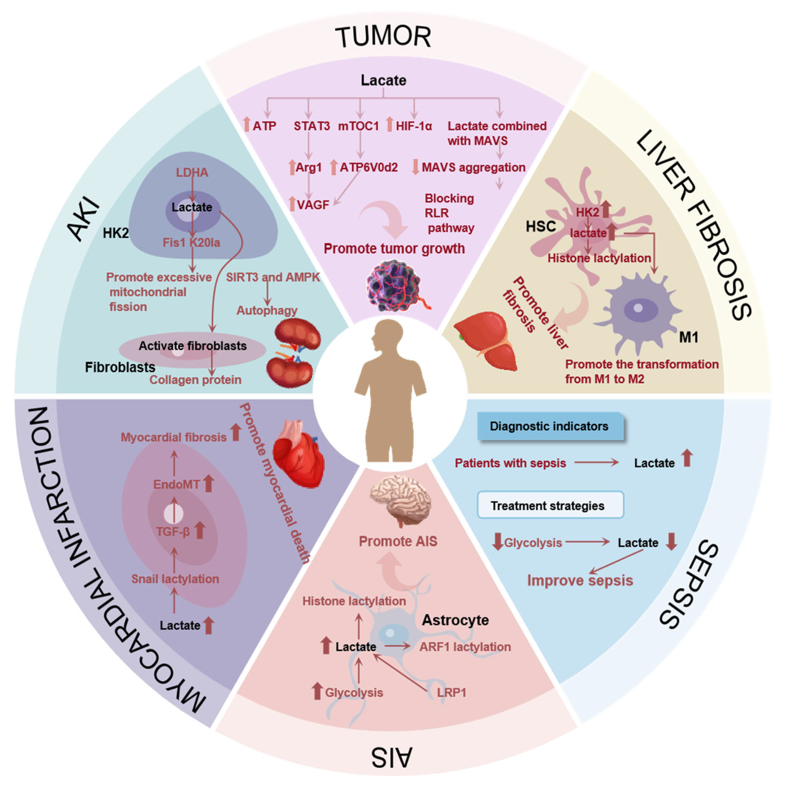 Molecules 29 05656 g003 Molecules 29 05656 g003