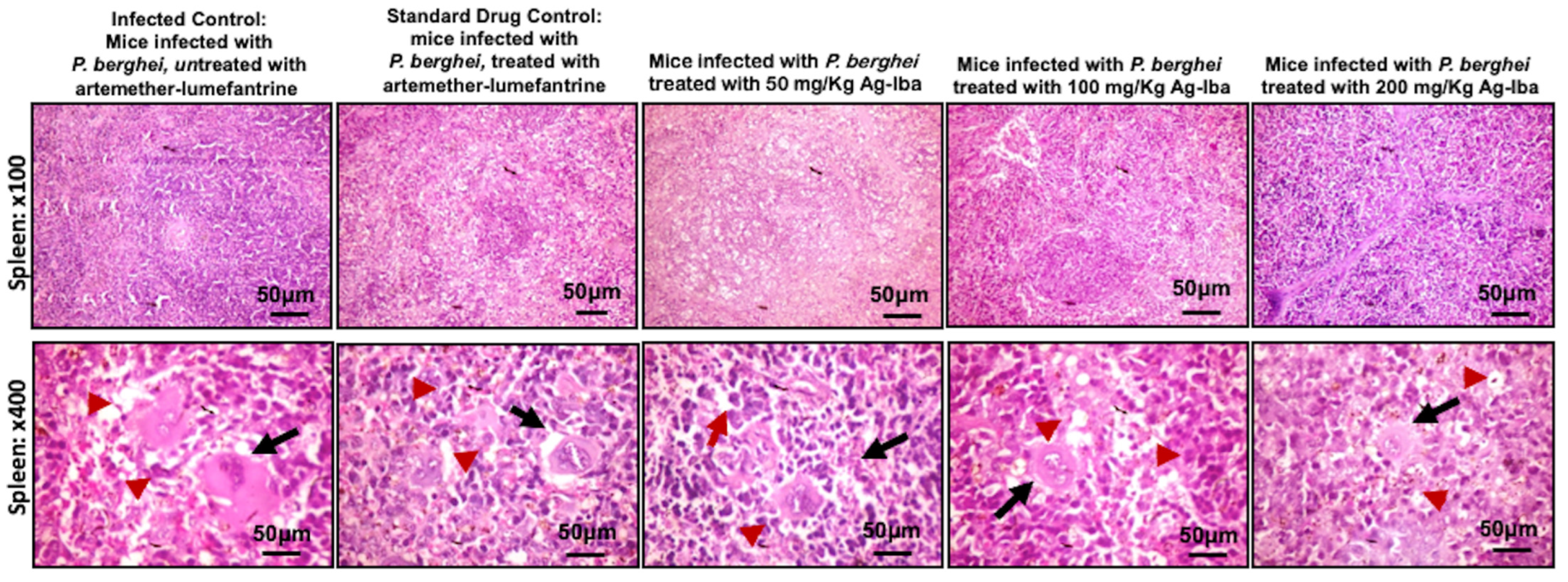 Molecules 29 05658 g011