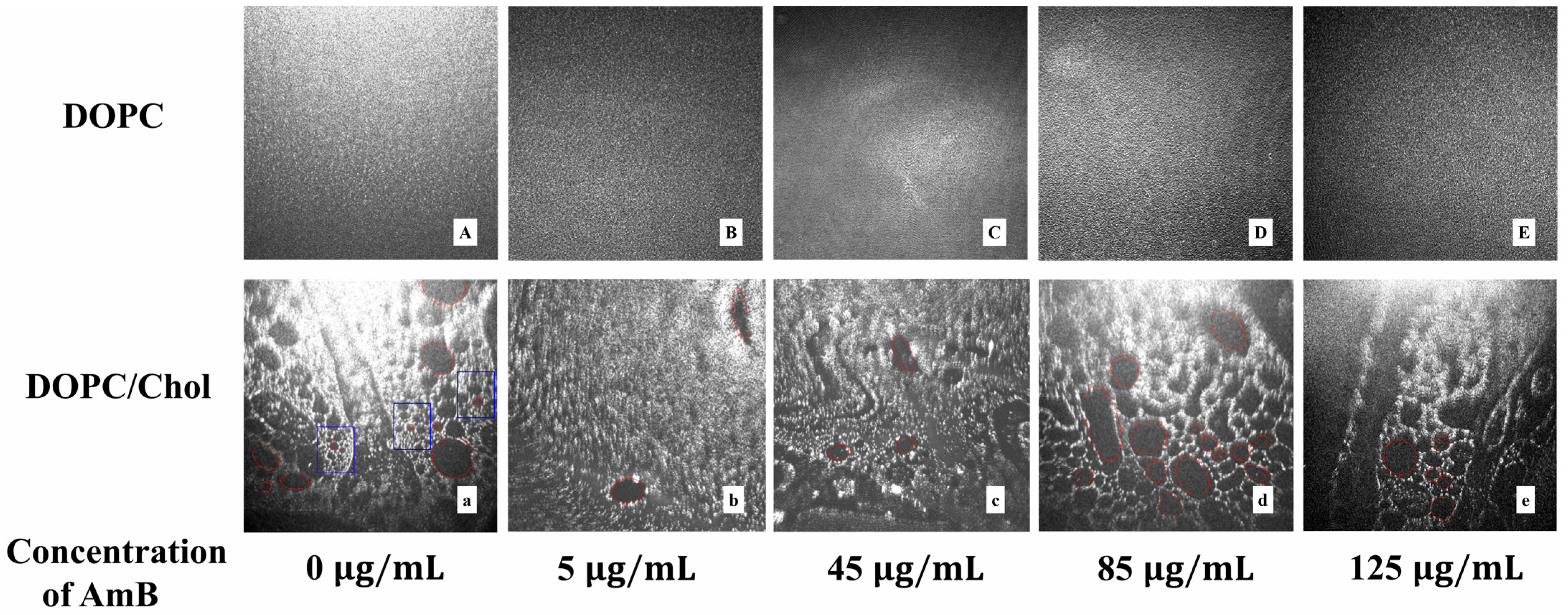 Molecules 29 05659 g004