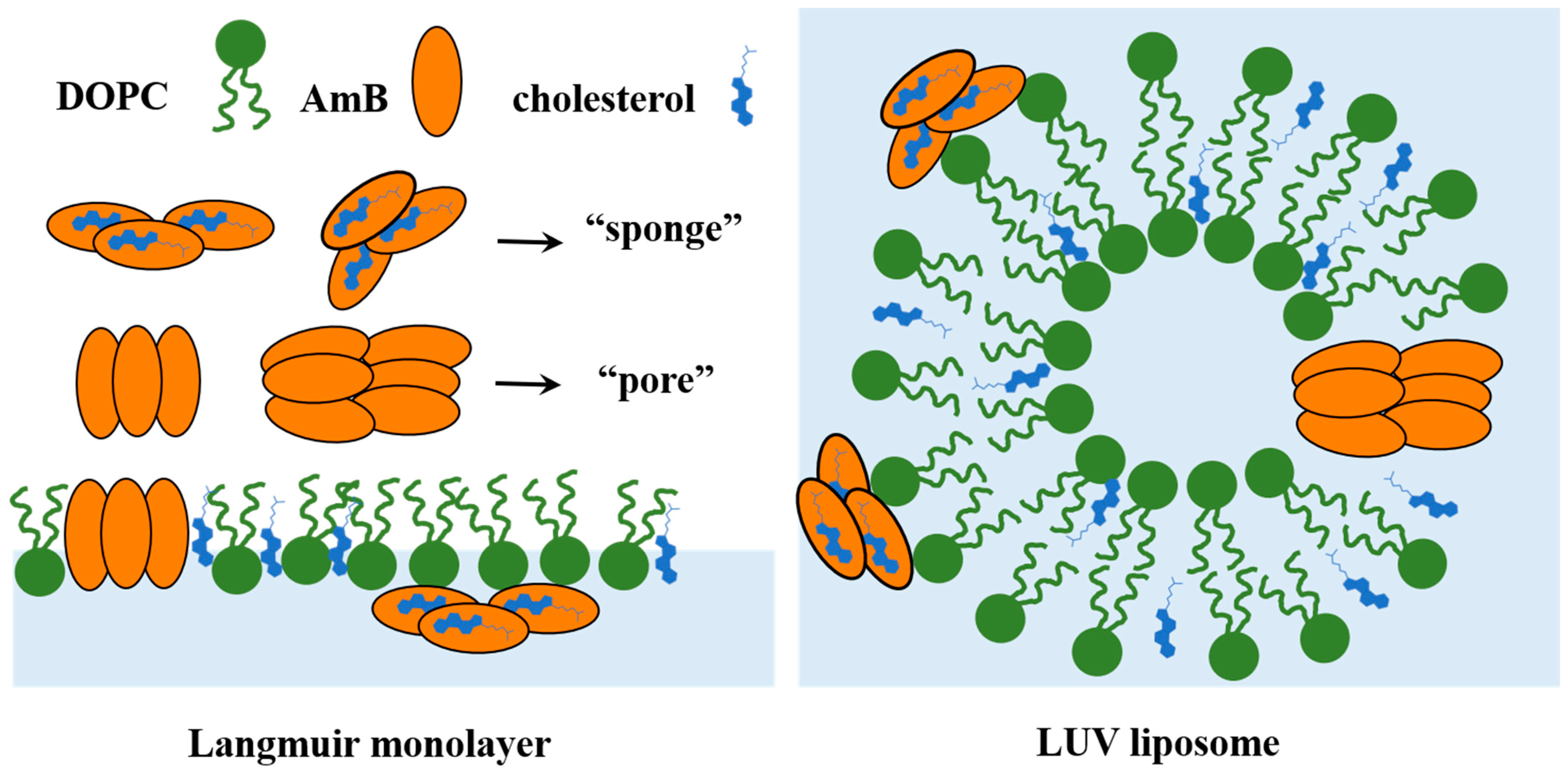 Molecules 29 05659 g005