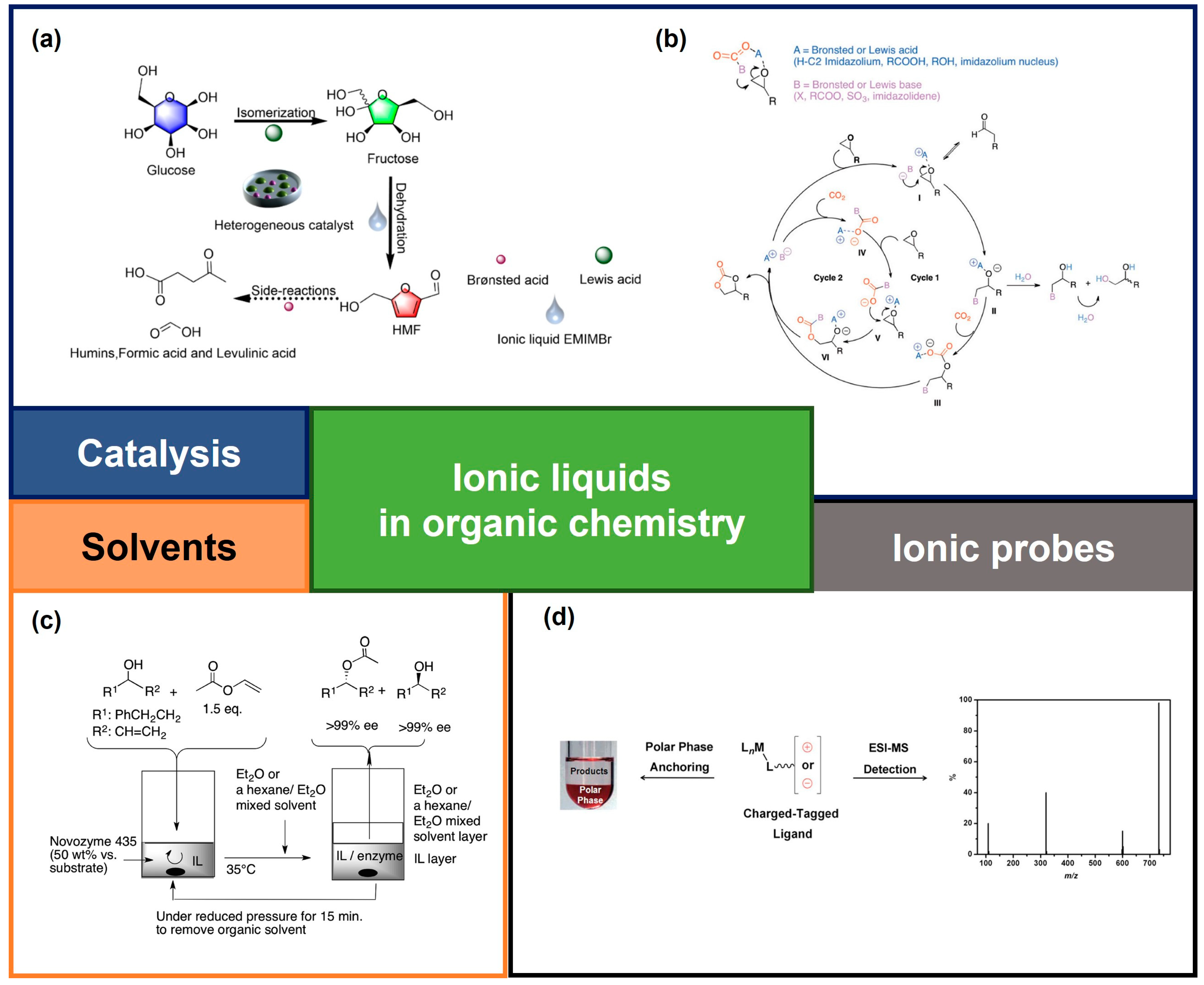Molecules 29 05661 g001