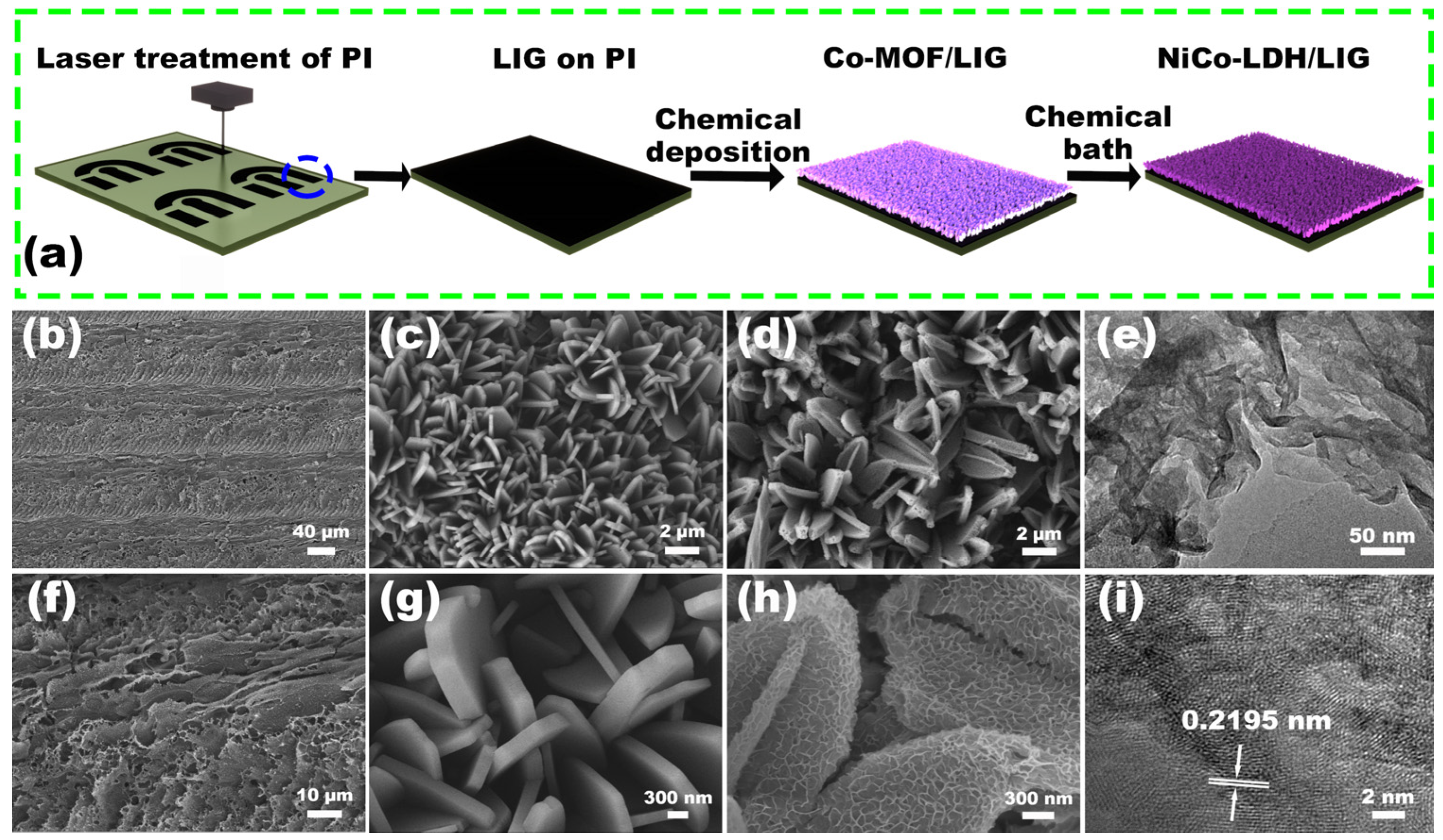 Molecules 29 05662 g002