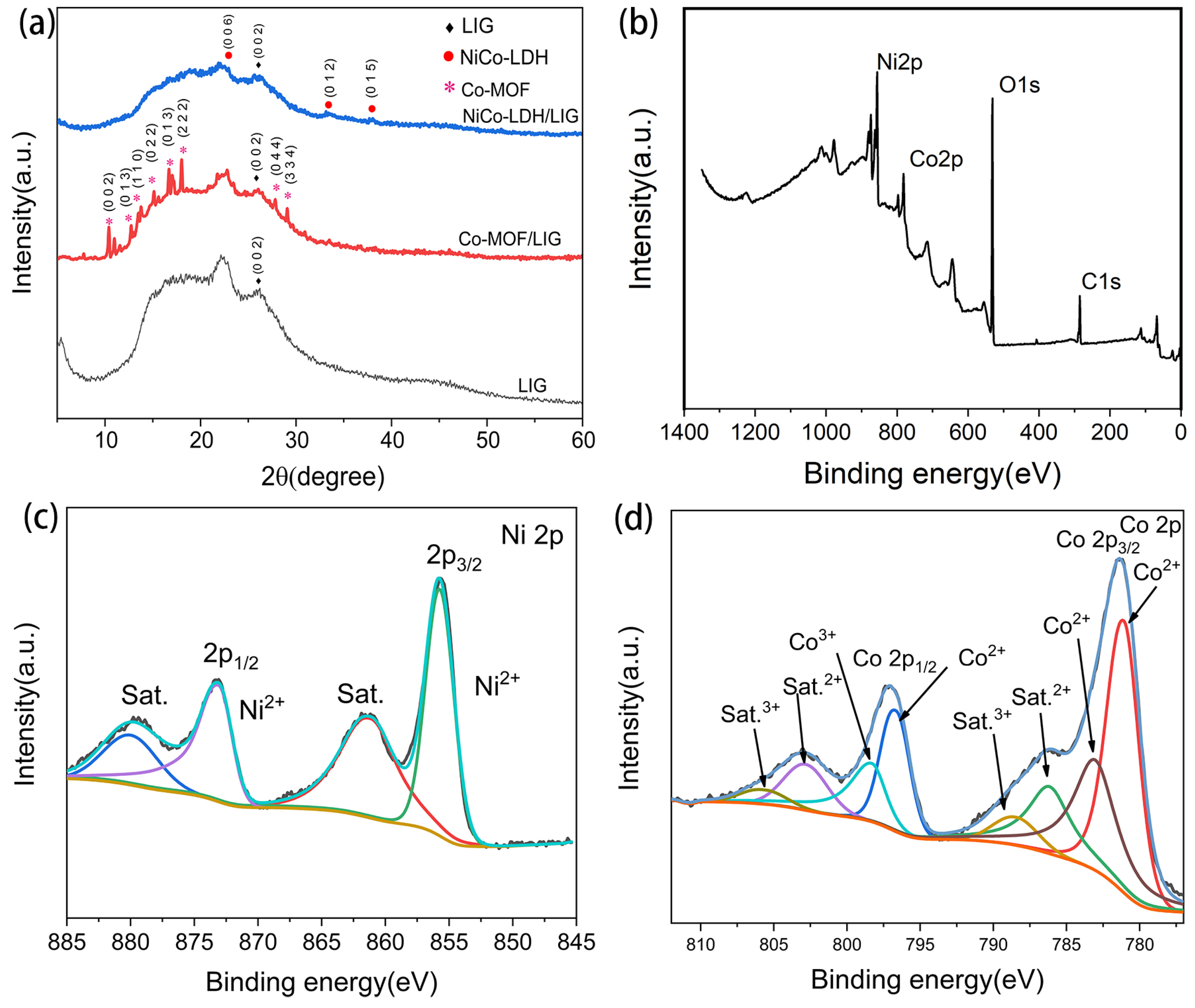 Molecules 29 05662 g004