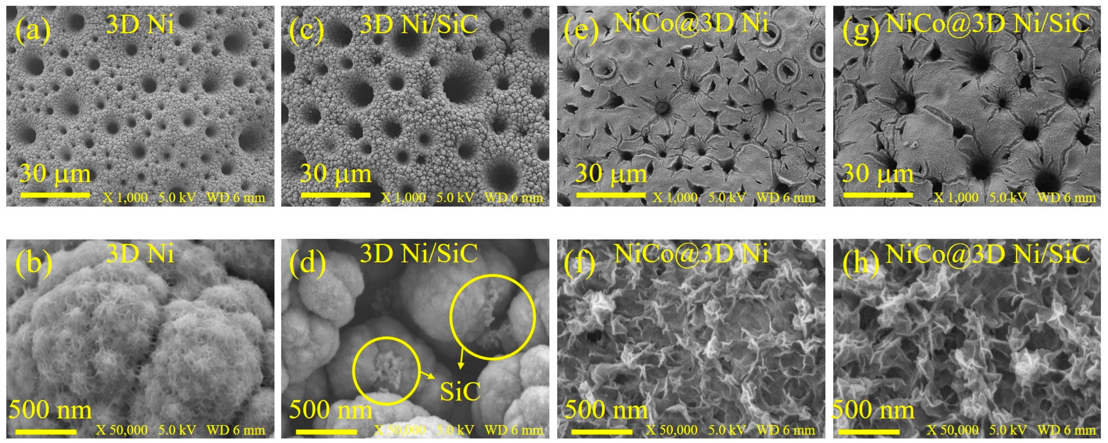 Molecules 29 05664 g001