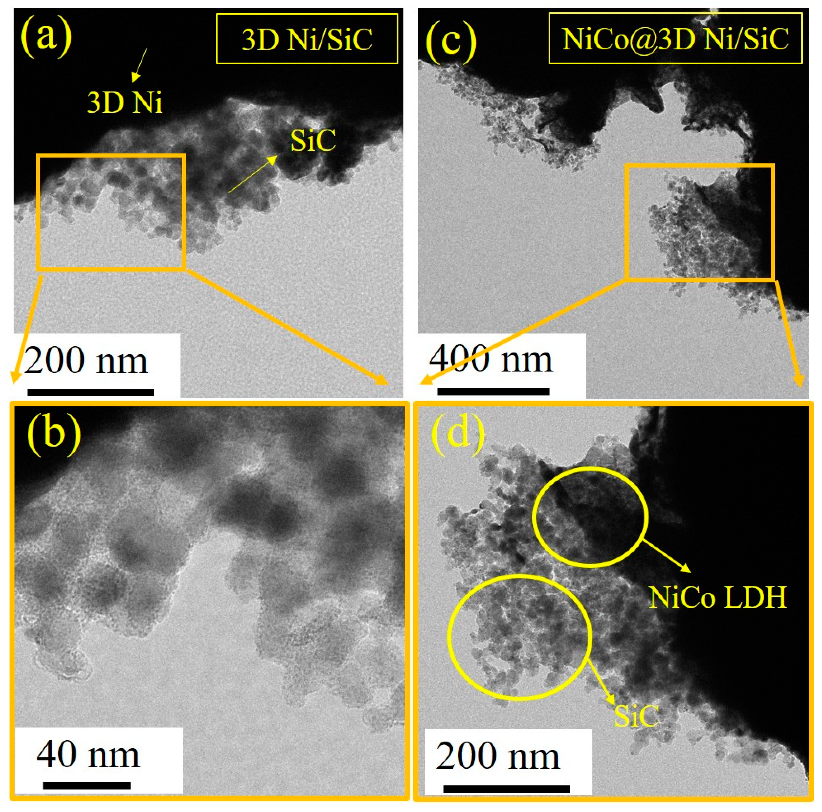 Molecules 29 05664 g002