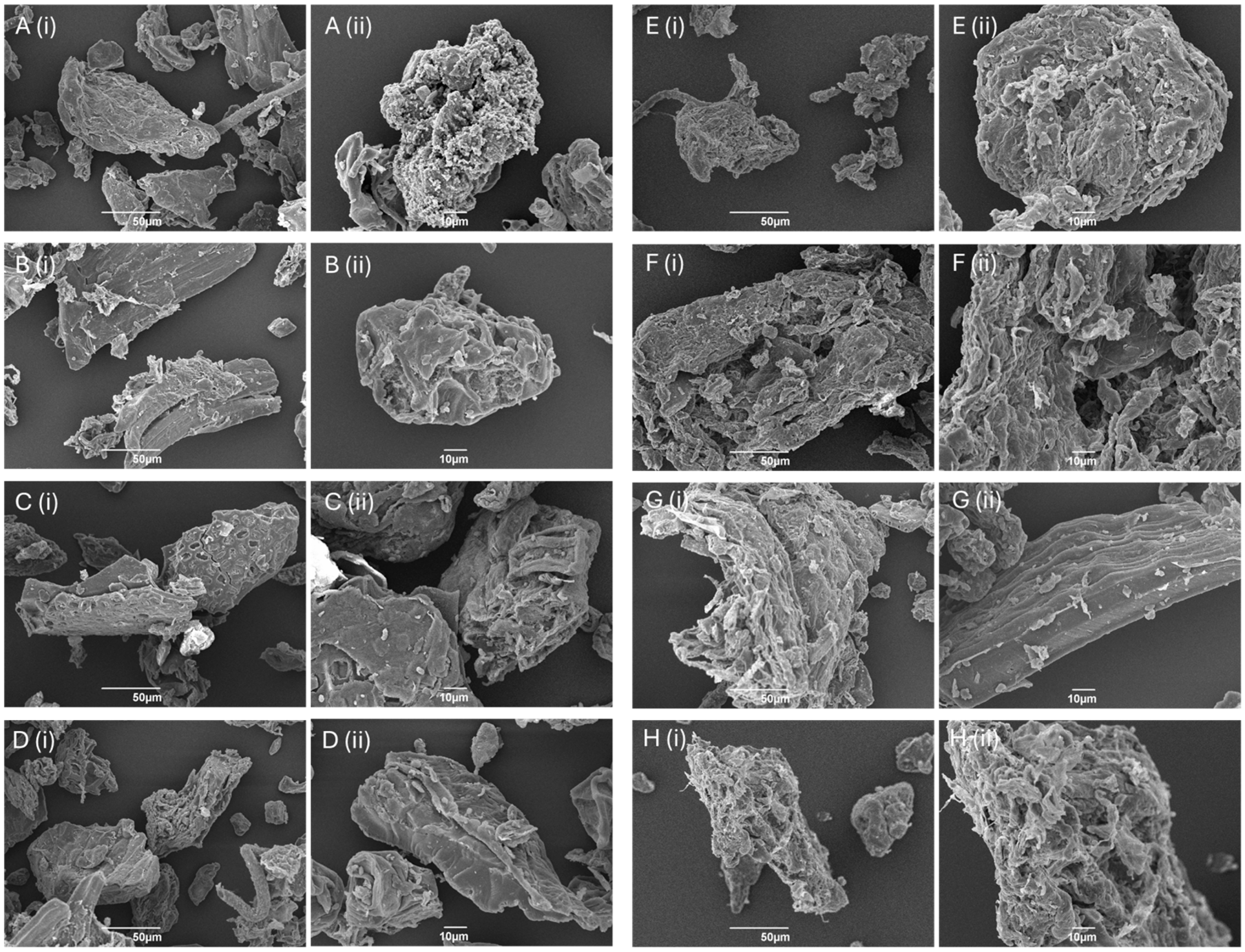 Molecules 29 05665 g002