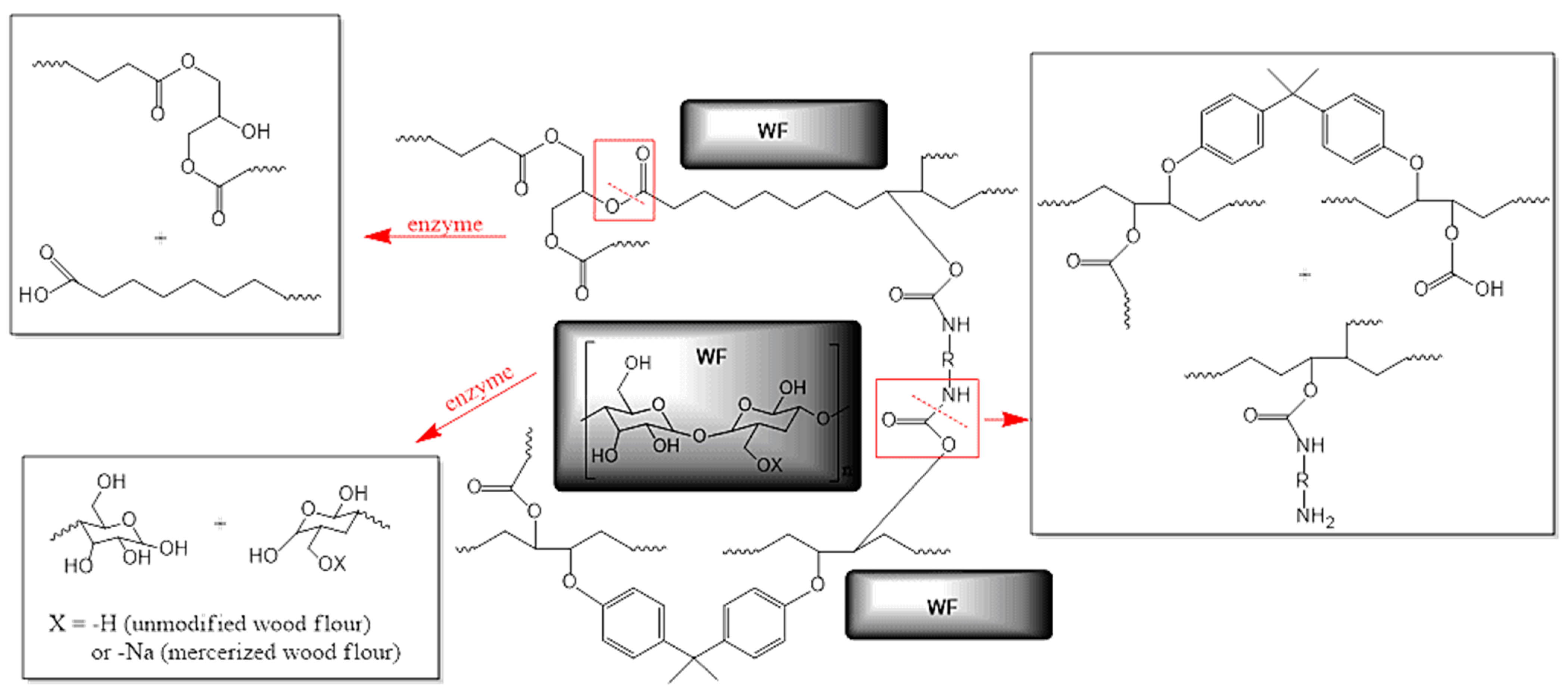 Molecules 29 05667 g001