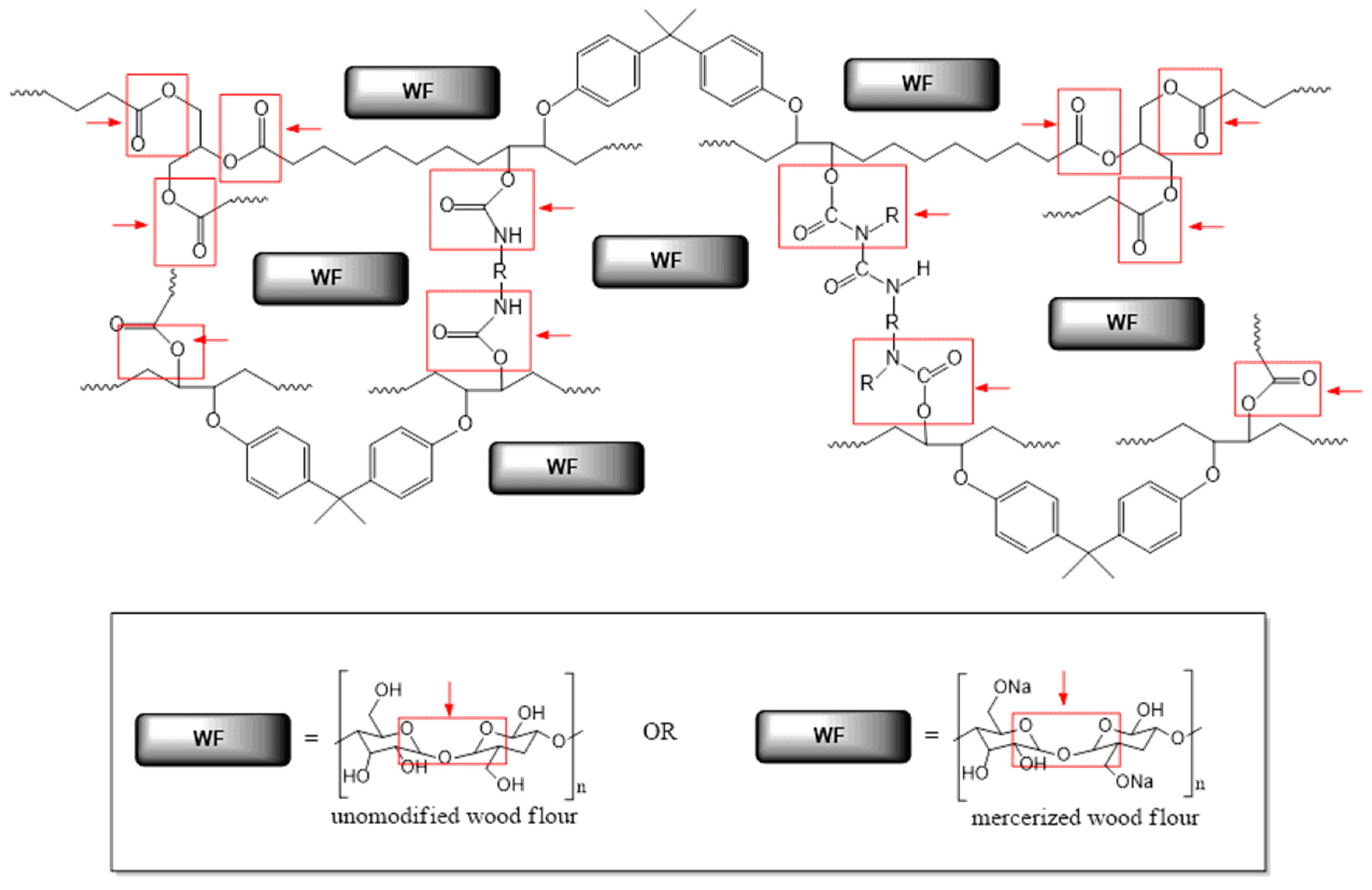 Molecules 29 05667 g002
