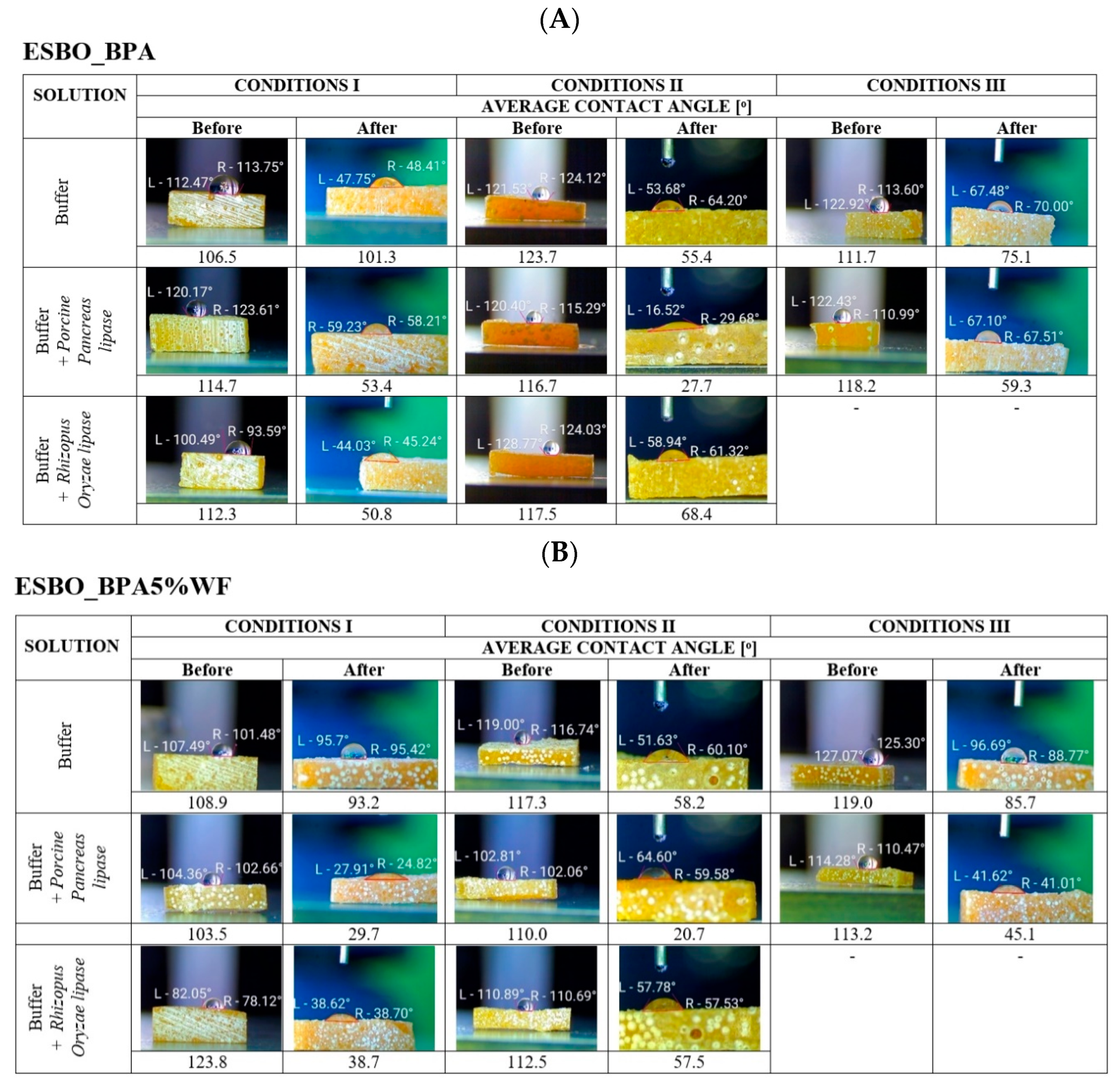 Molecules 29 05667 g005a