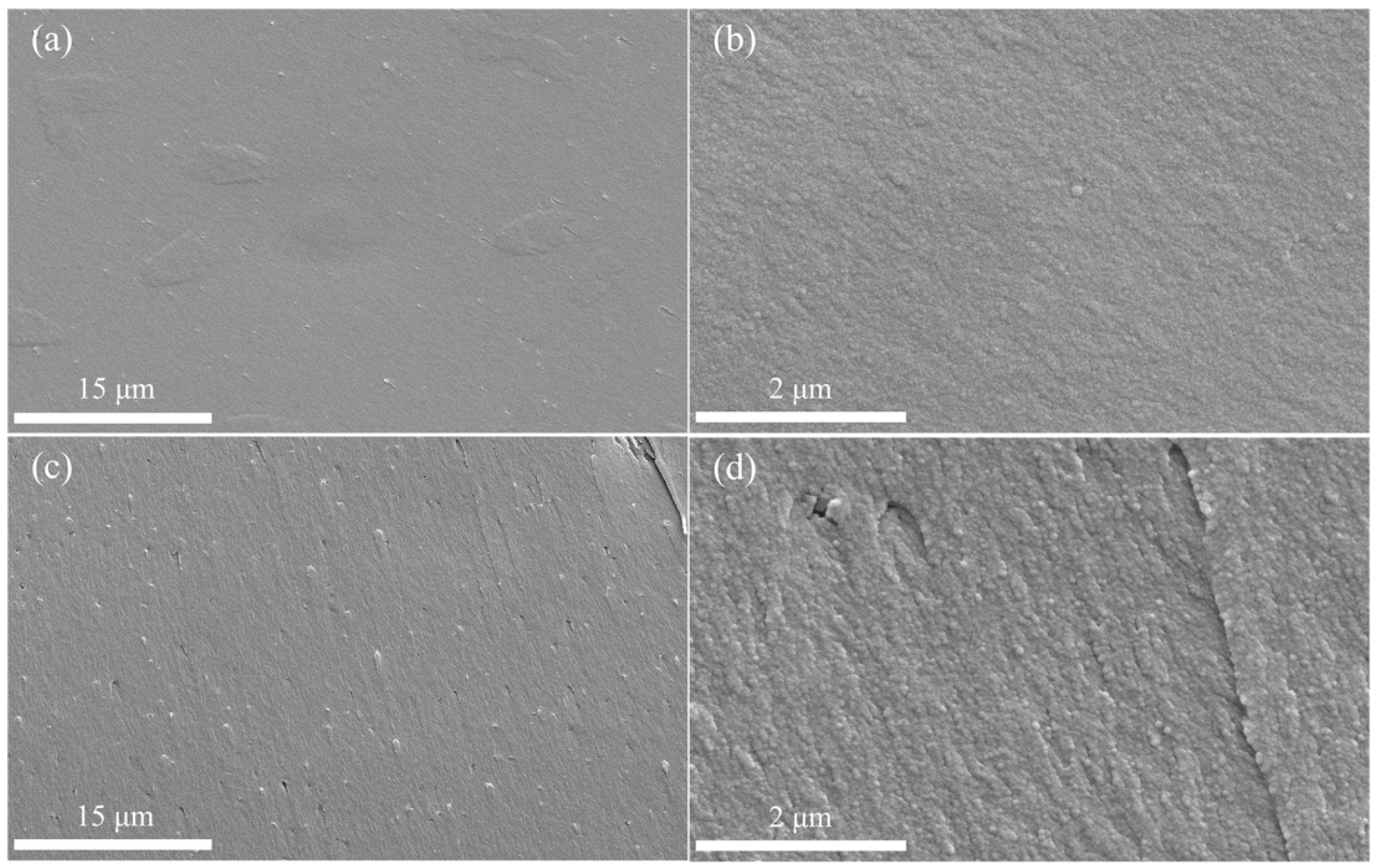 Molecules 29 05668 g004