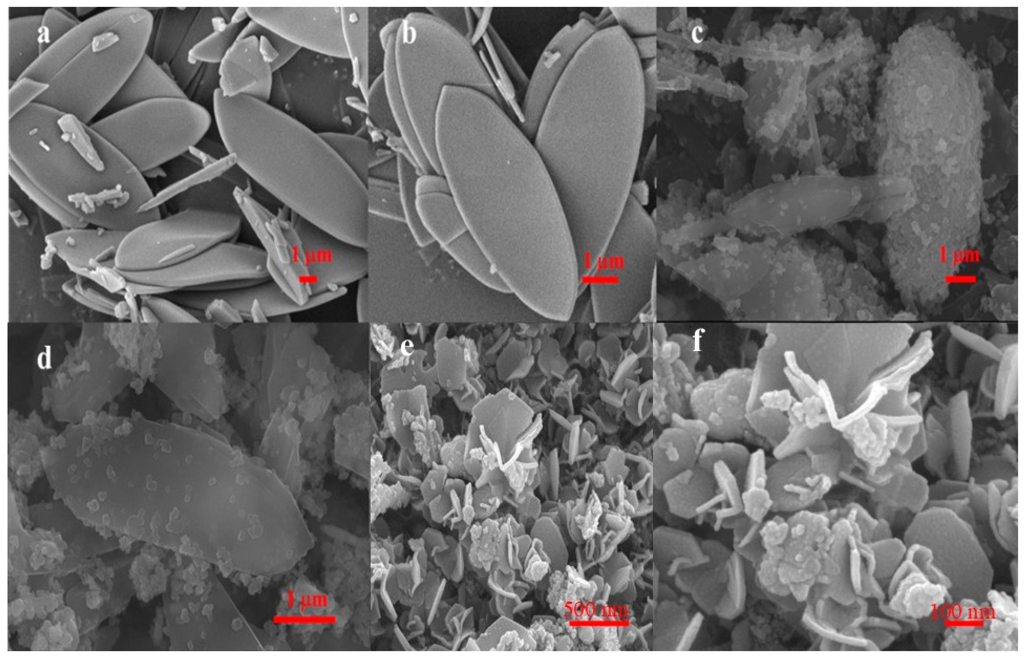 Molecules 29 05675 g001