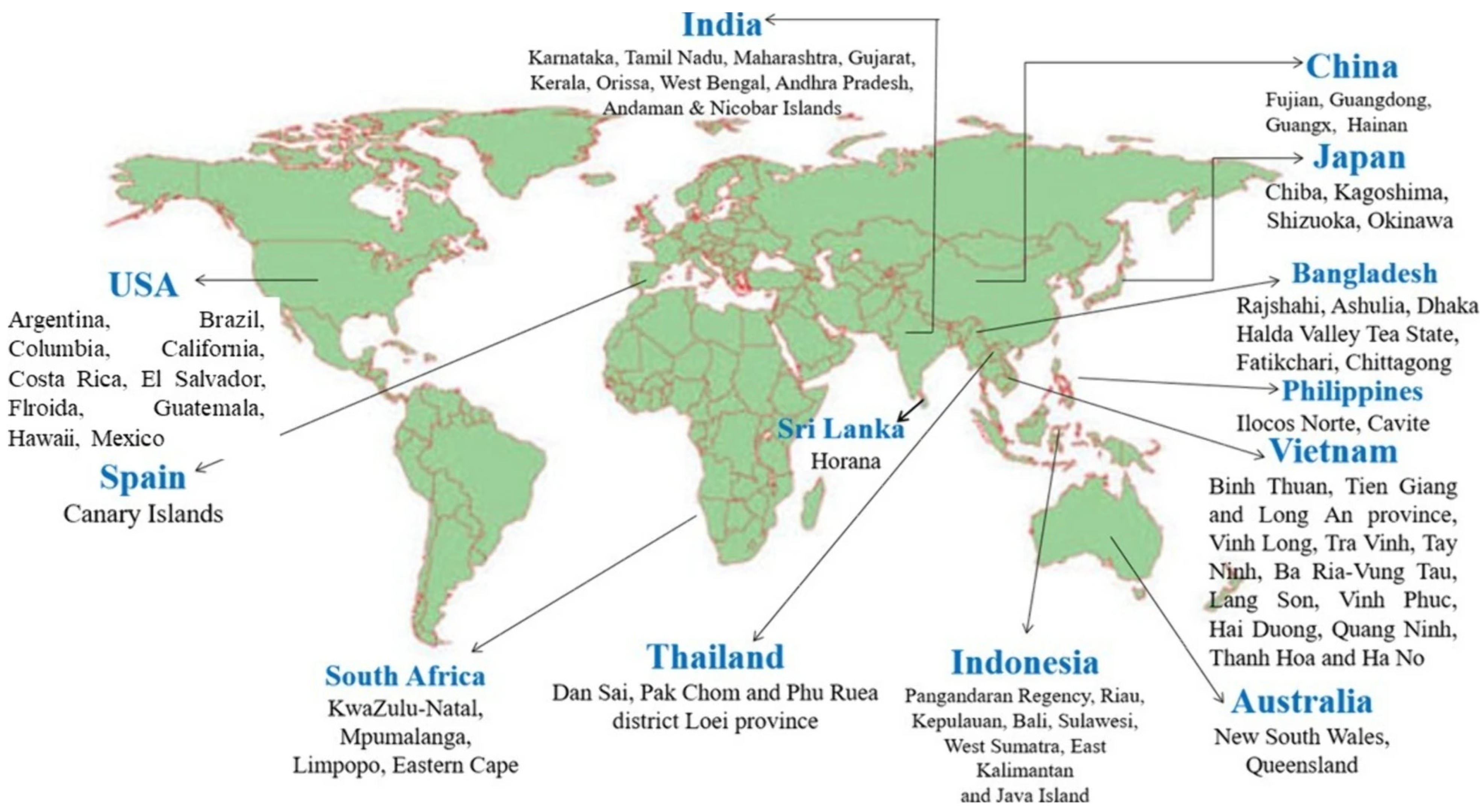 Molecules 29 05676 g002