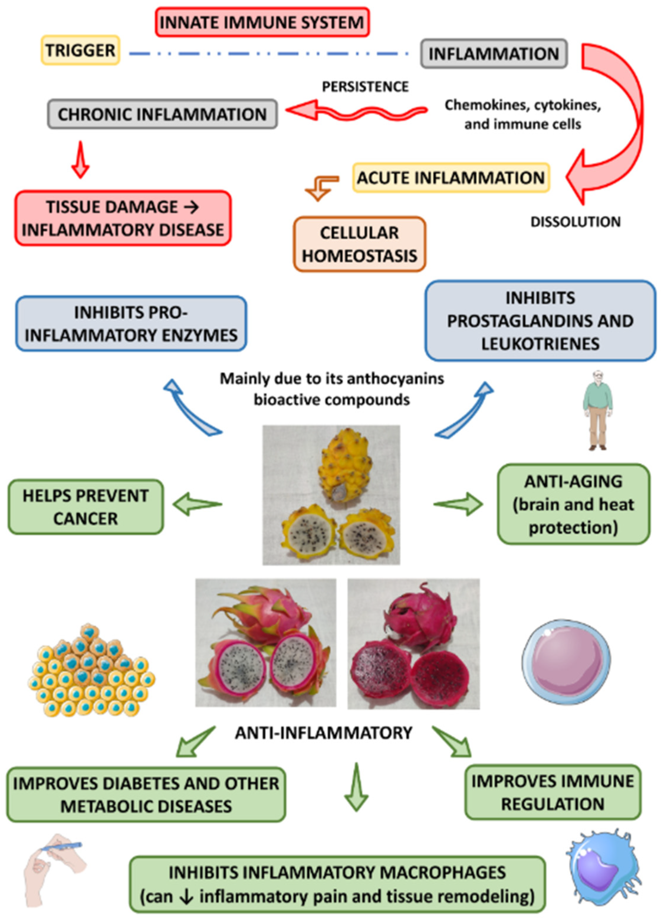 Molecules 29 05676 g003