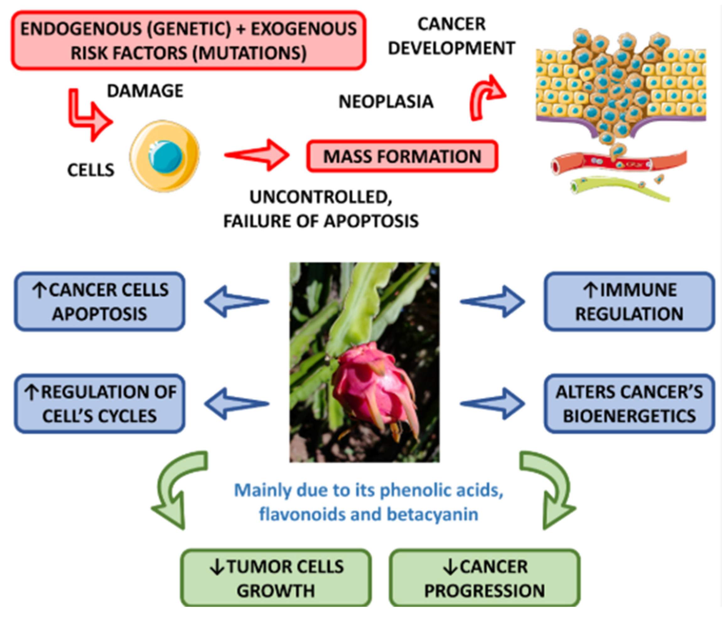 Molecules 29 05676 g004