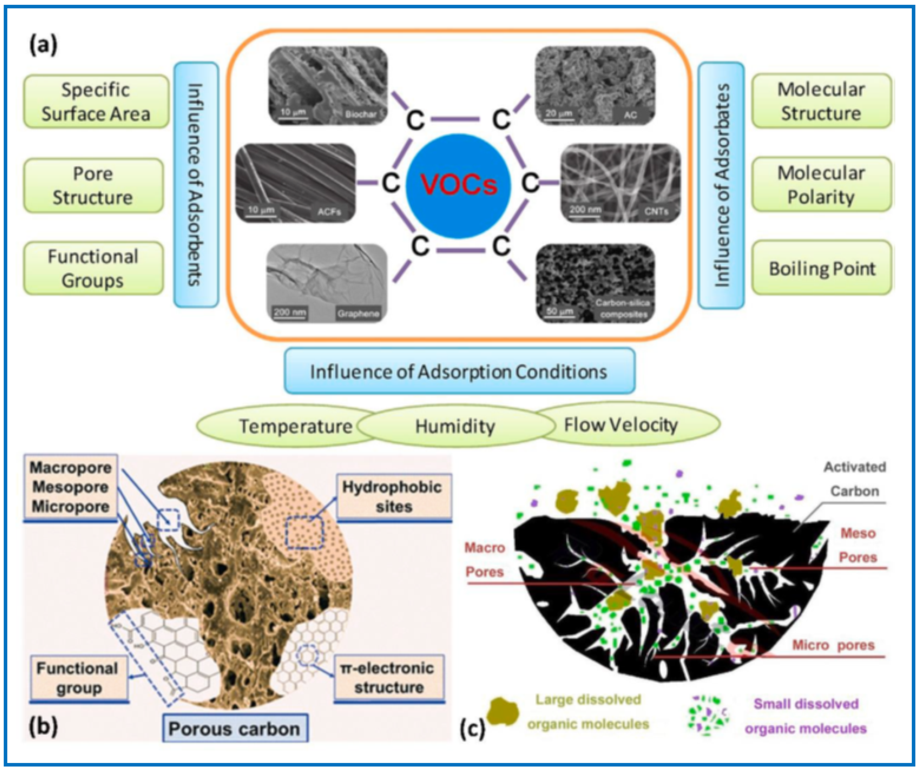 Molecules 29 05677 g005