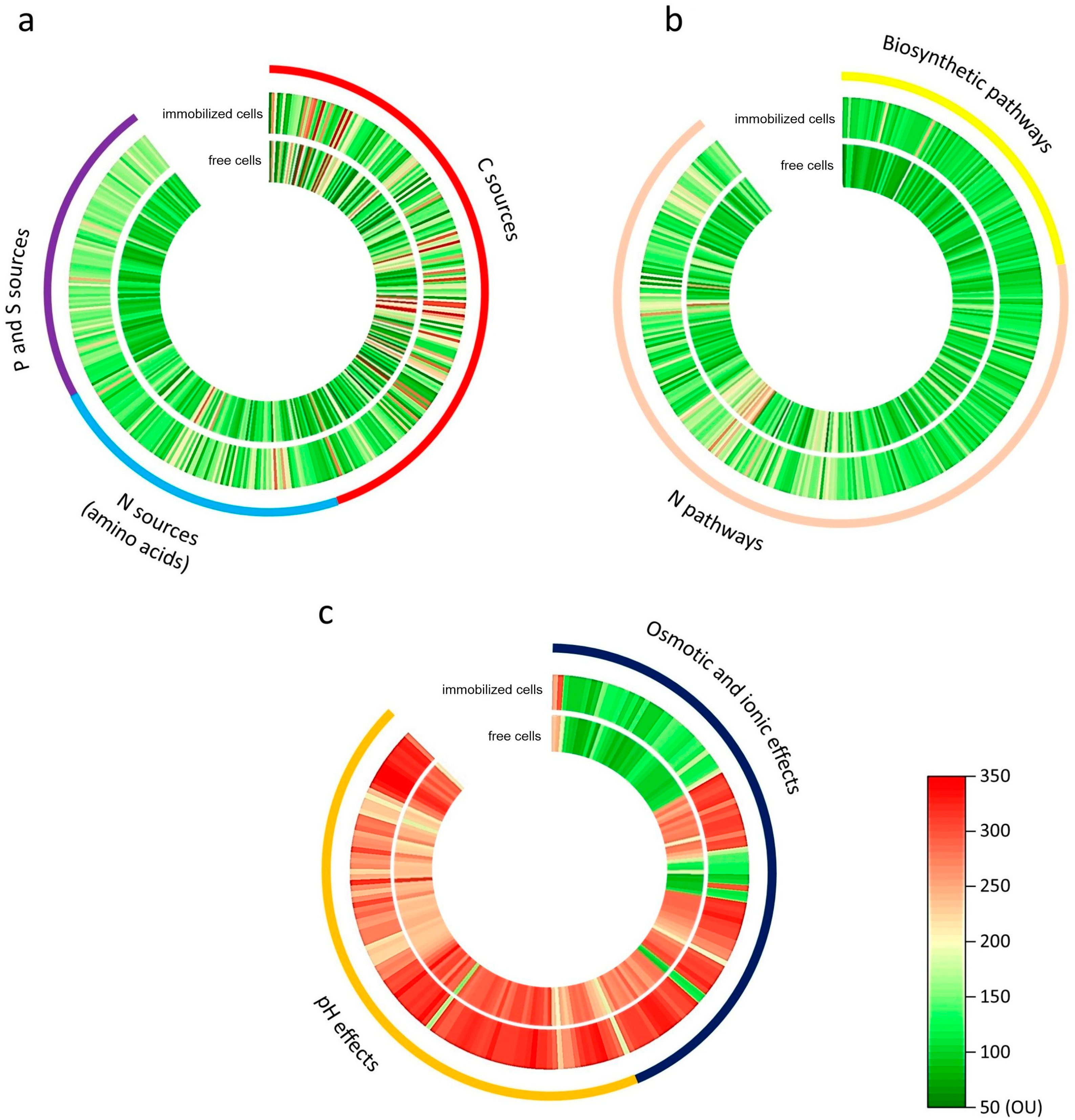 Molecules 29 05680 g003