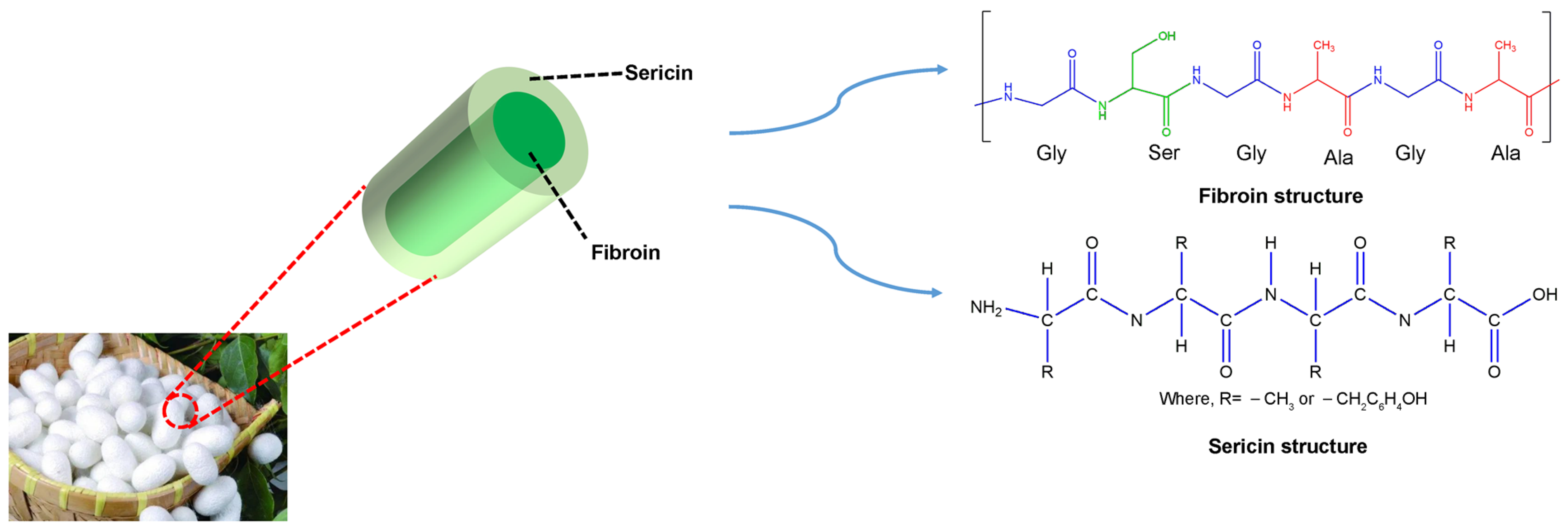 Molecules 29 05681 g001