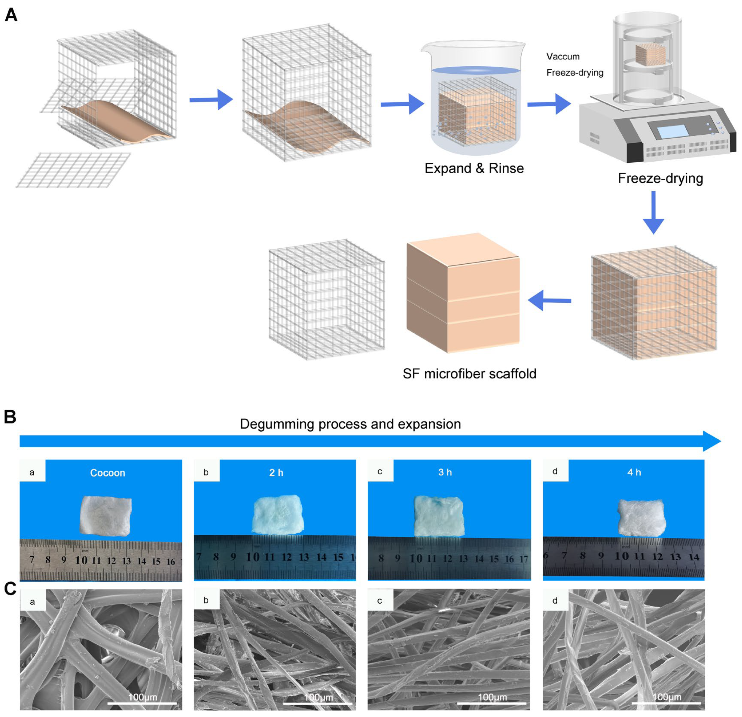 Molecules 29 05681 g003