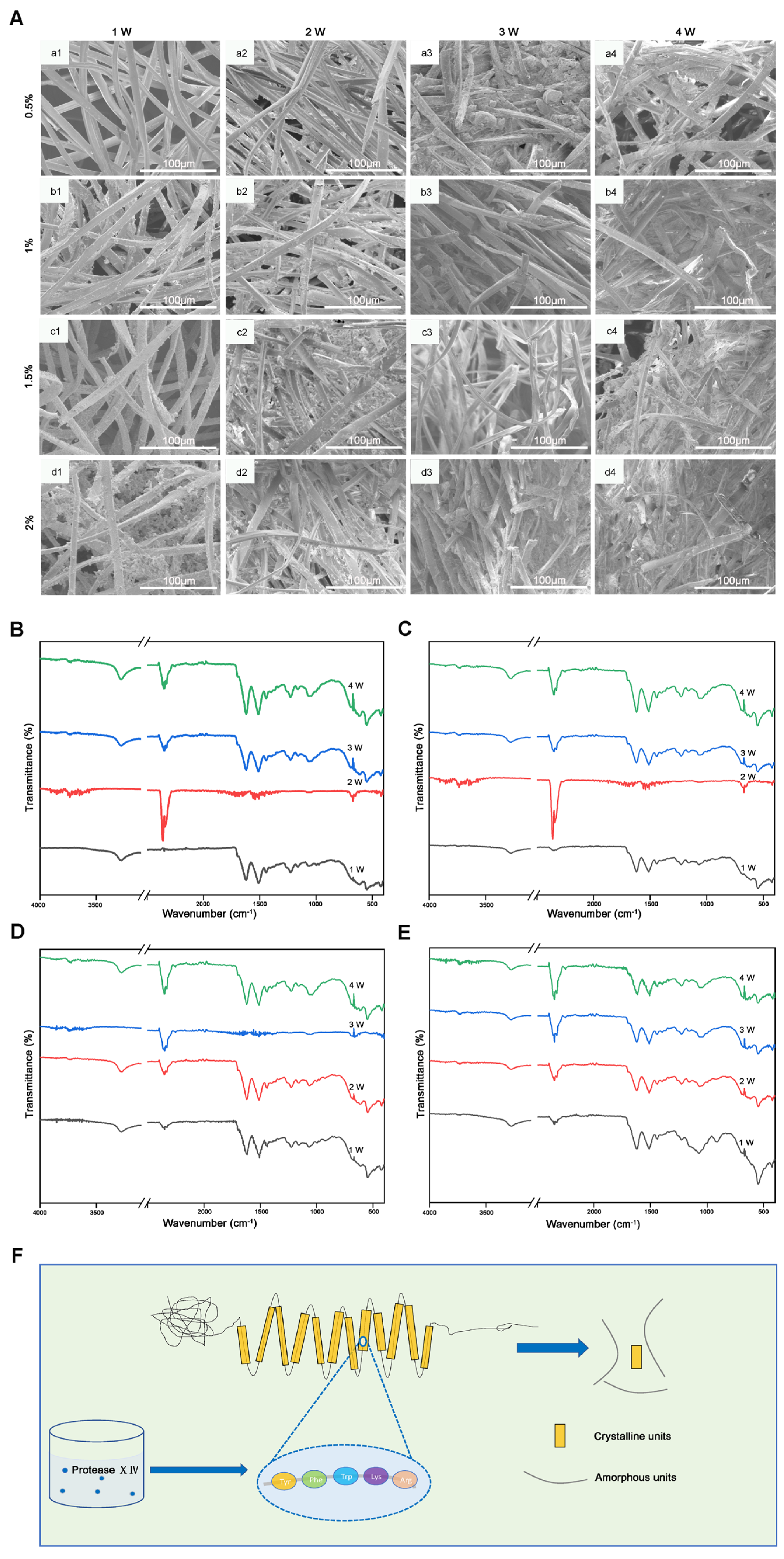 Molecules 29 05681 g004