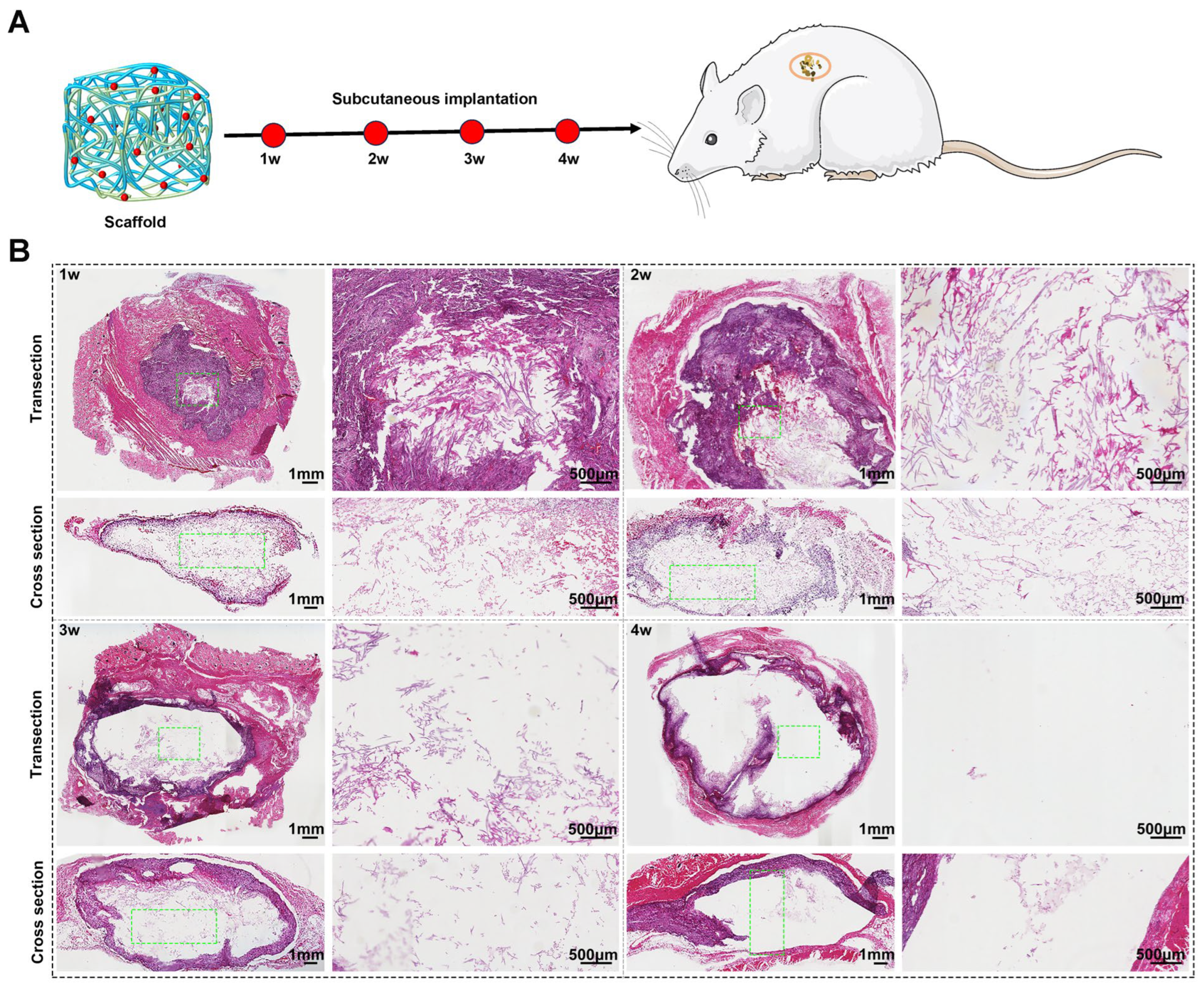 Molecules 29 05681 g005