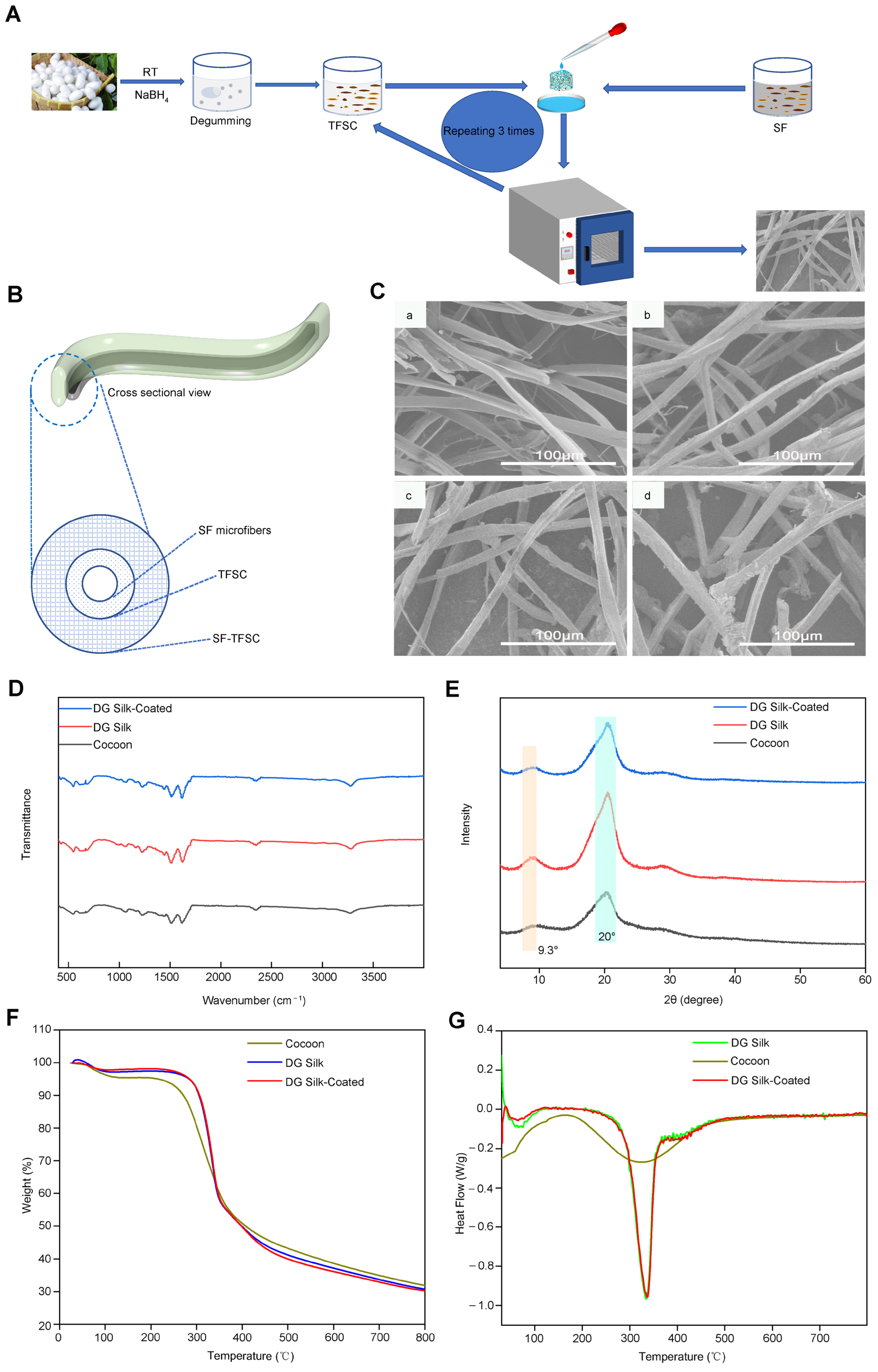 Molecules 29 05681 g008