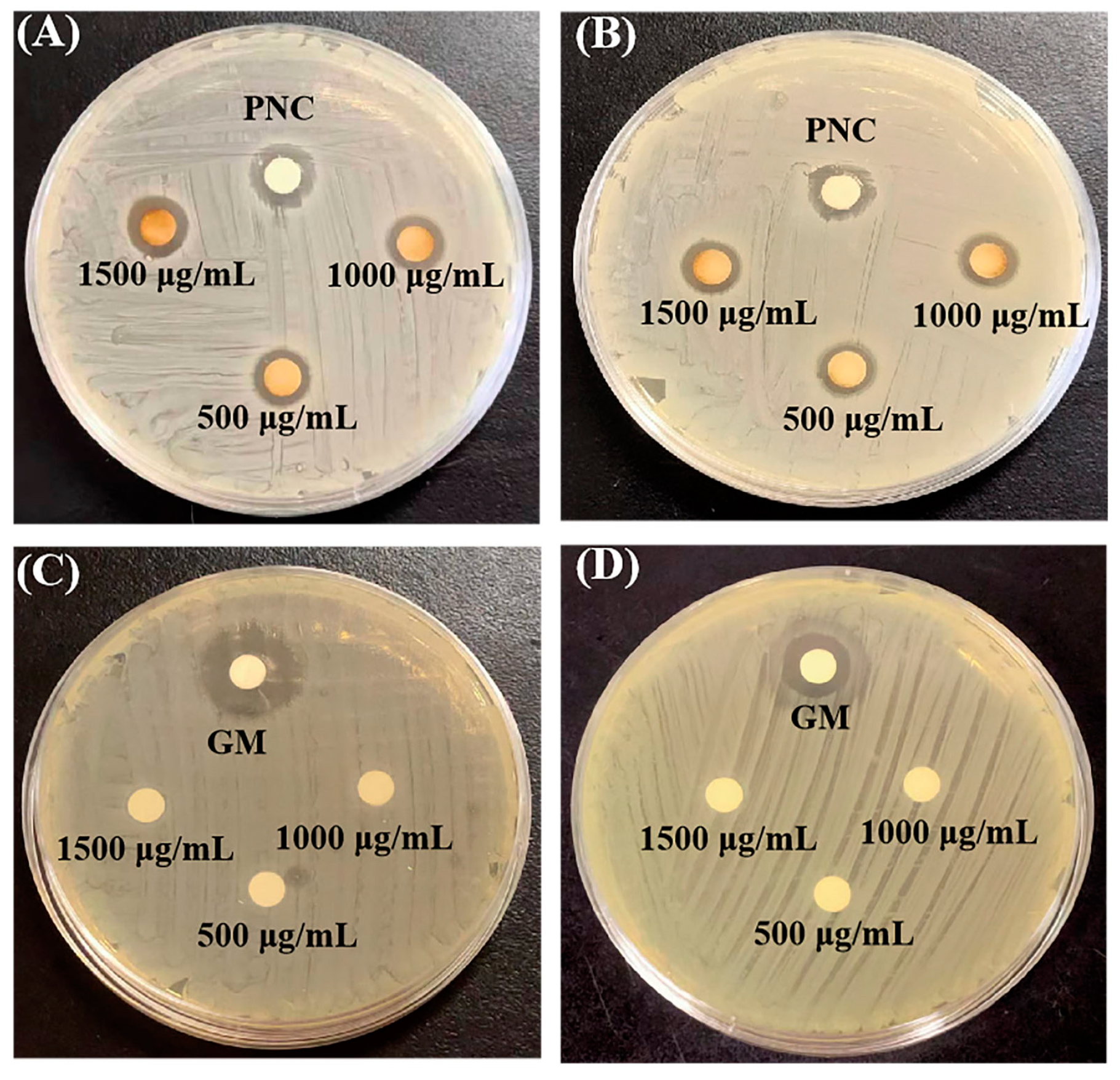 Molecules 29 05682 g006