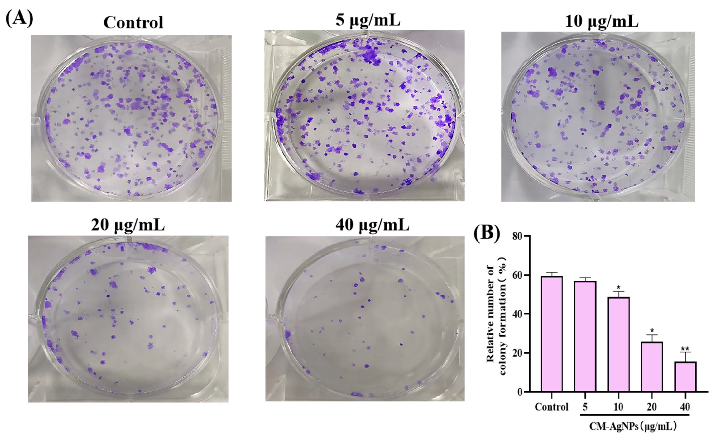 Molecules 29 05682 g009