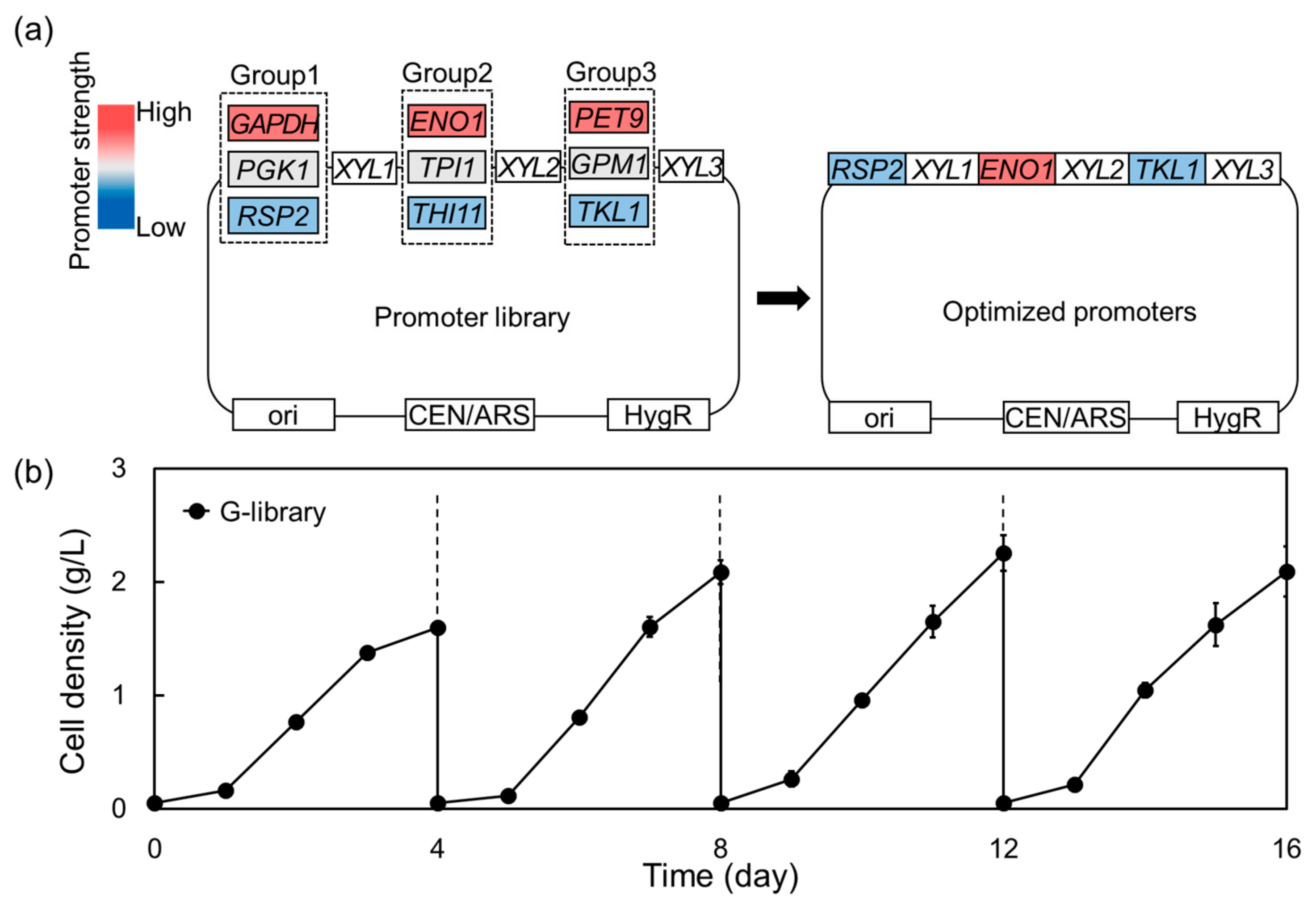 Molecules 29 05695 g002
