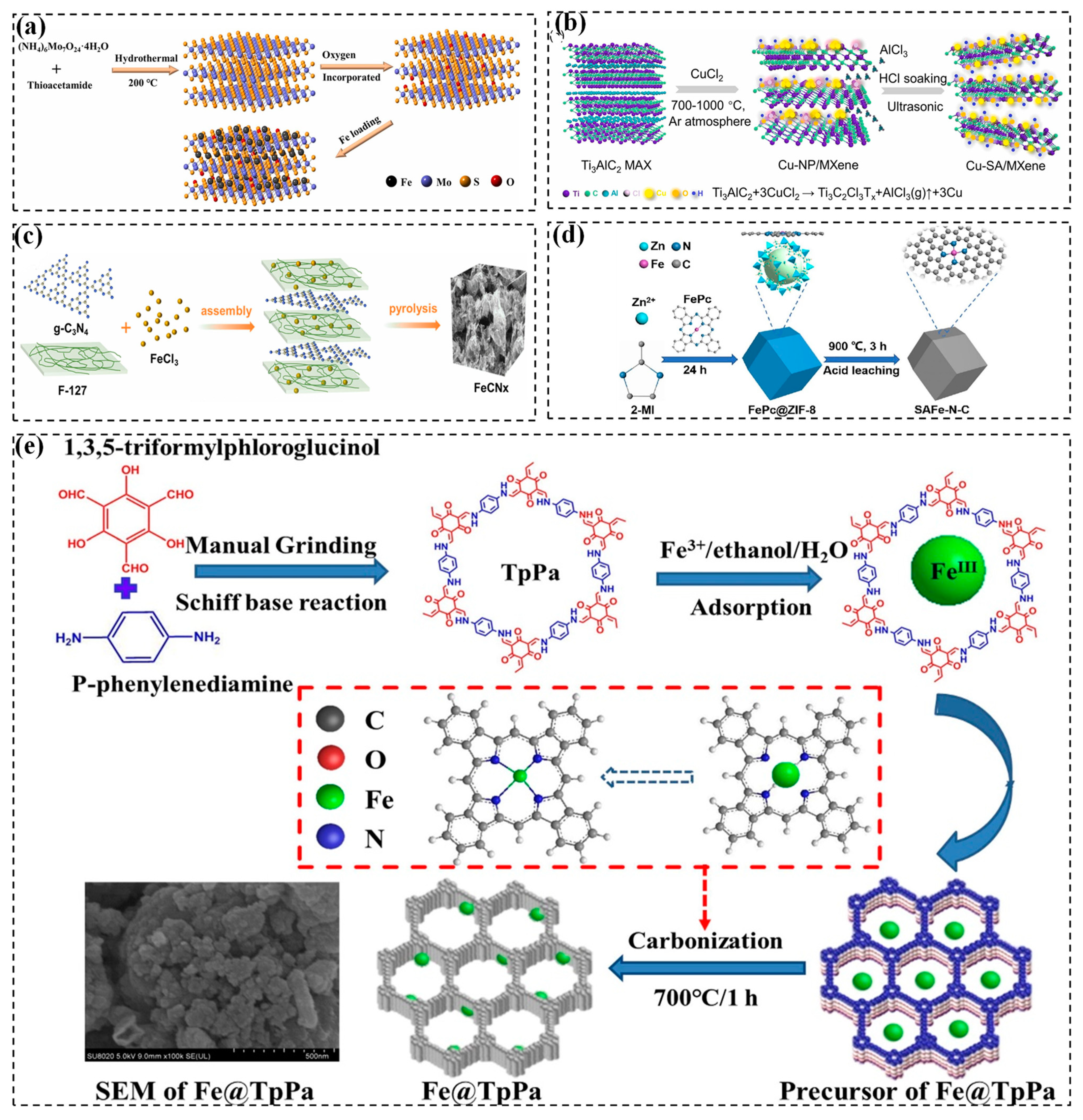 Molecules 29 05696 g001