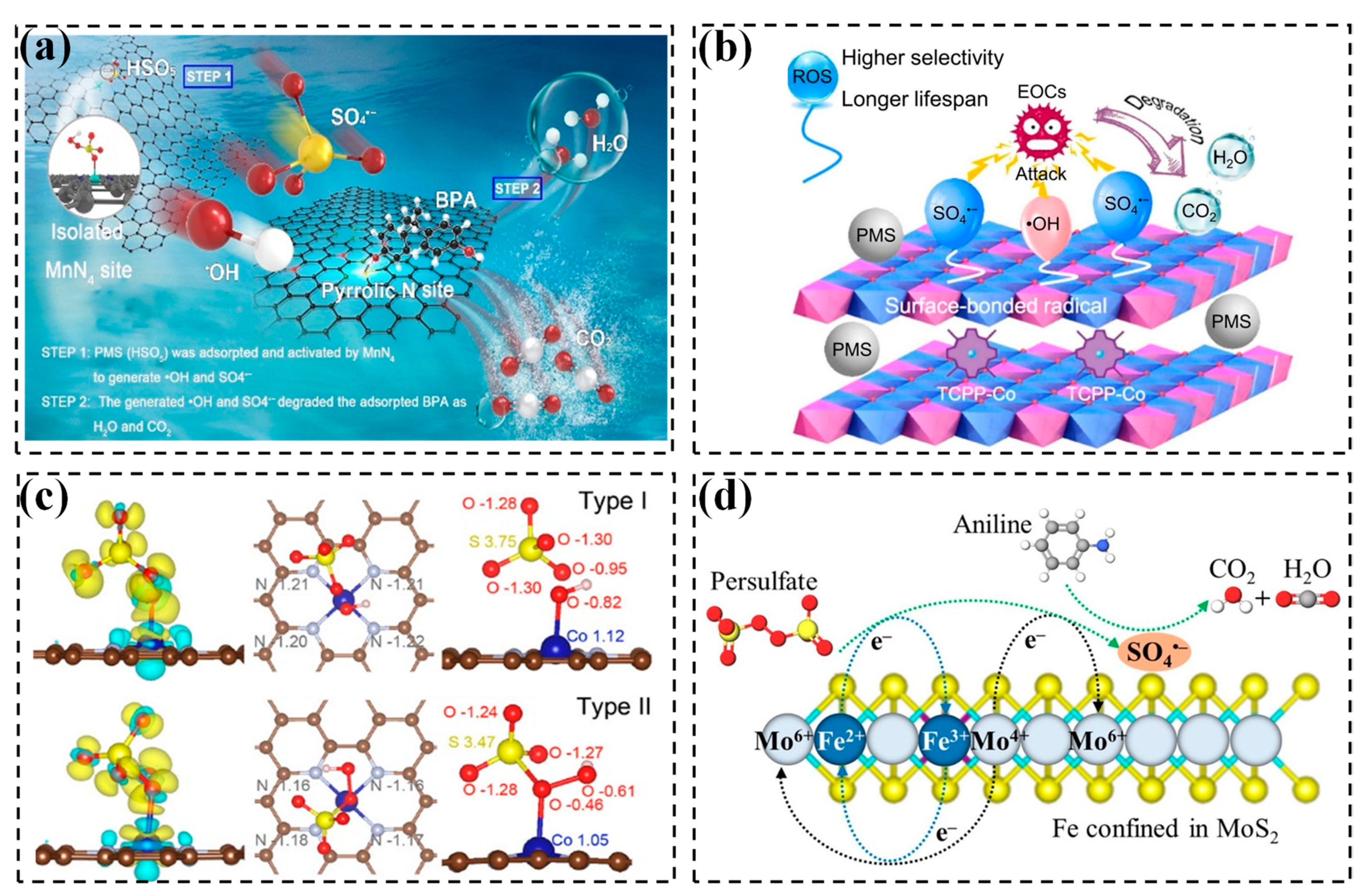 Molecules 29 05696 g003