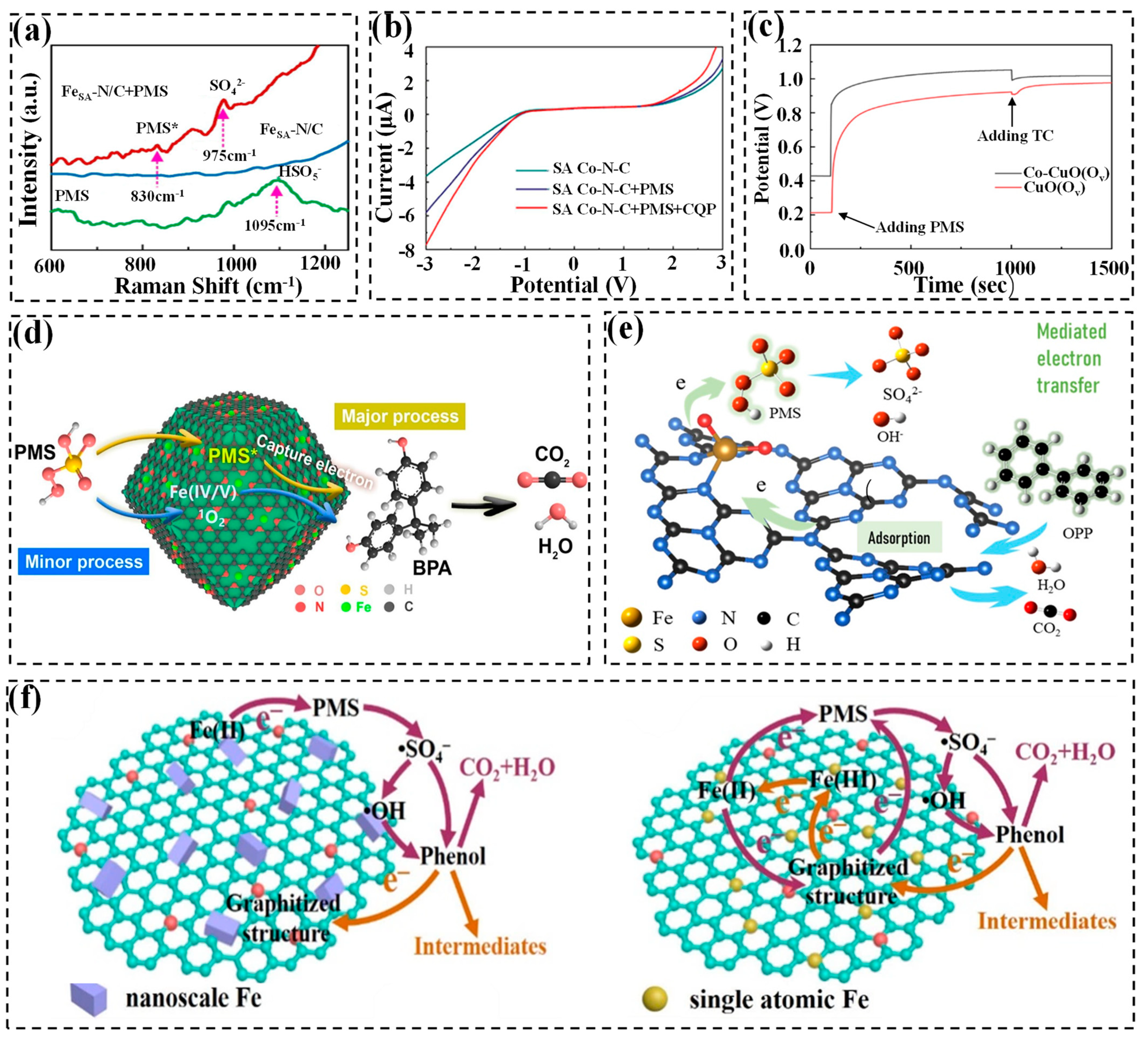 Molecules 29 05696 g006