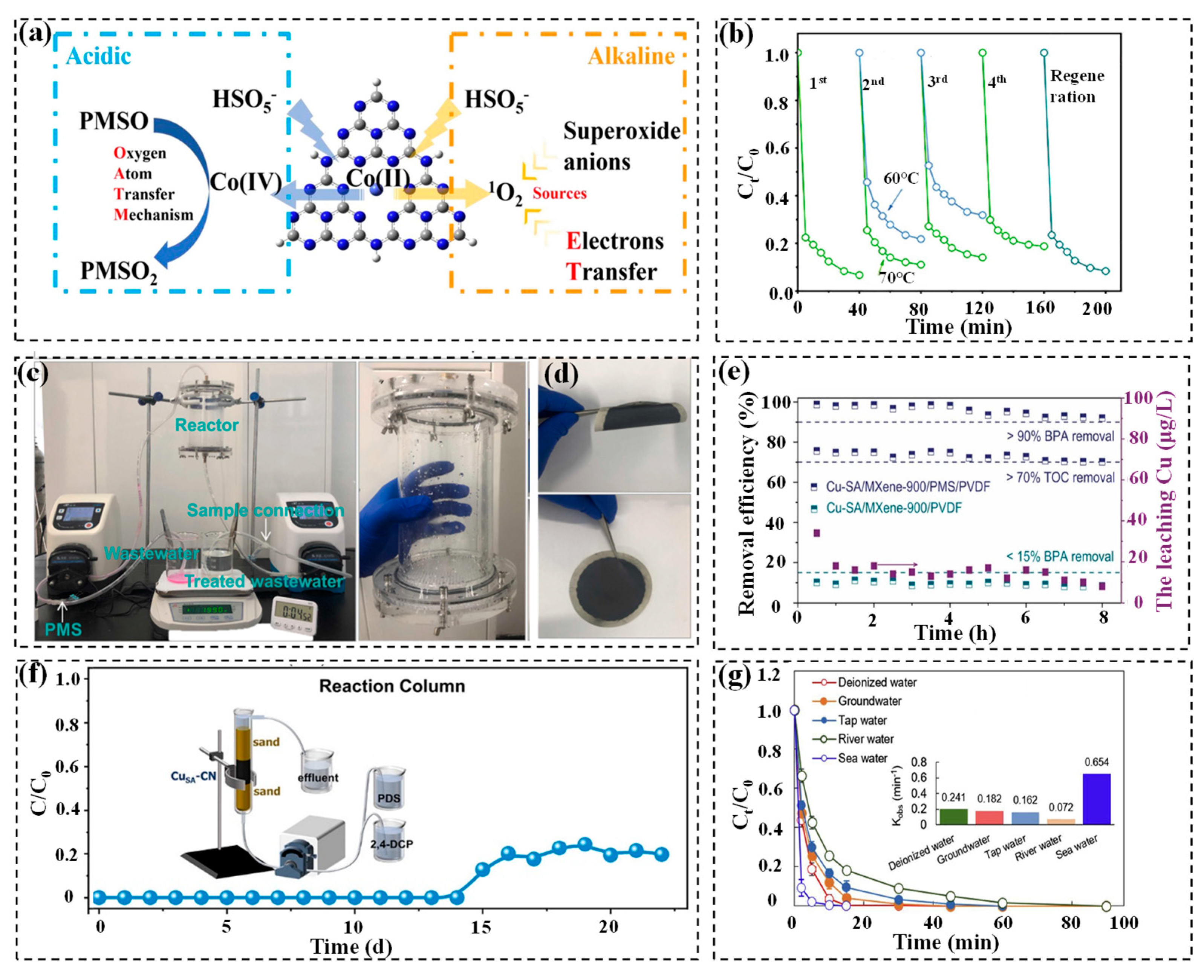 Molecules 29 05696 g007