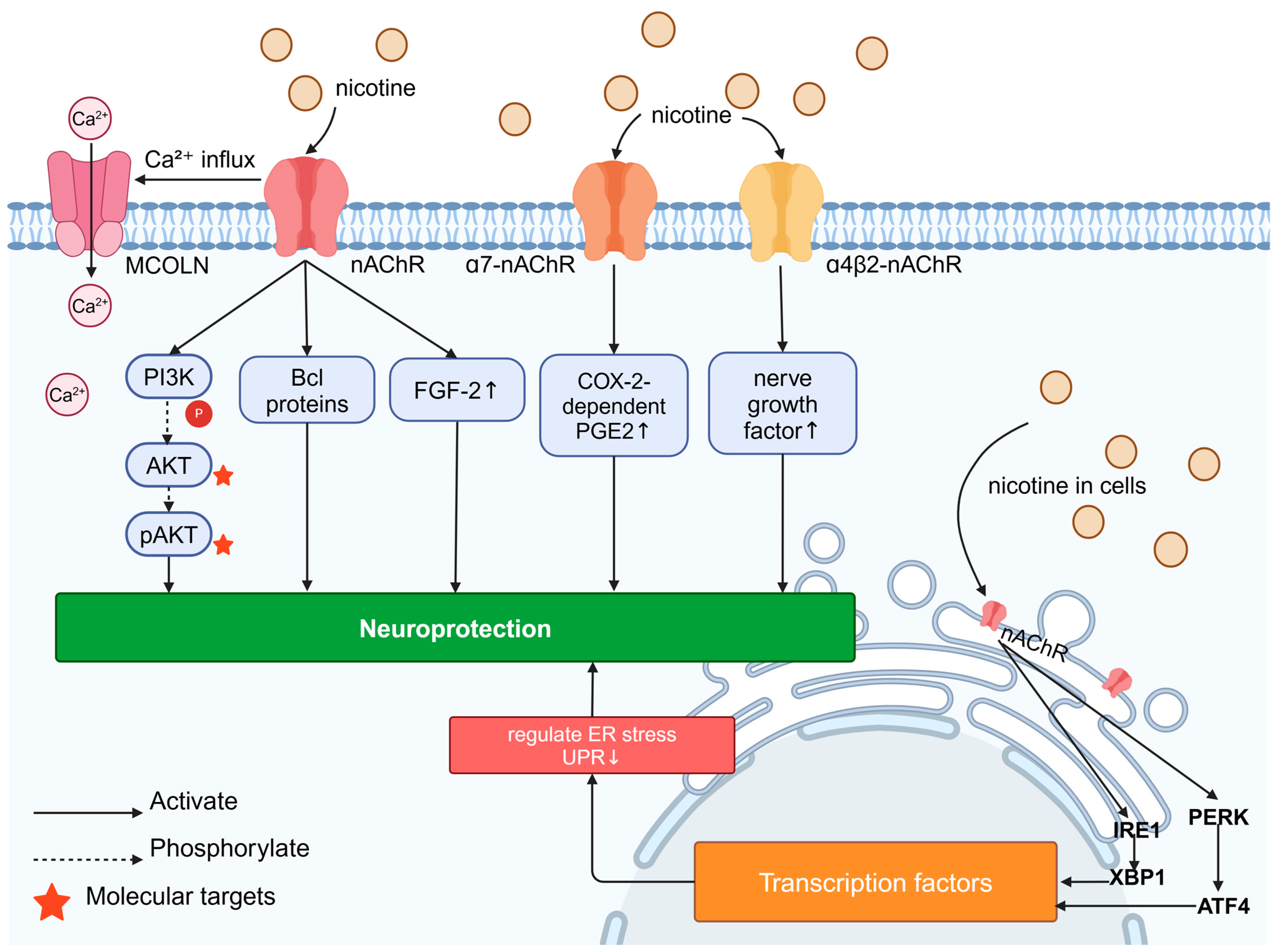 Molecules 29 05700 g004