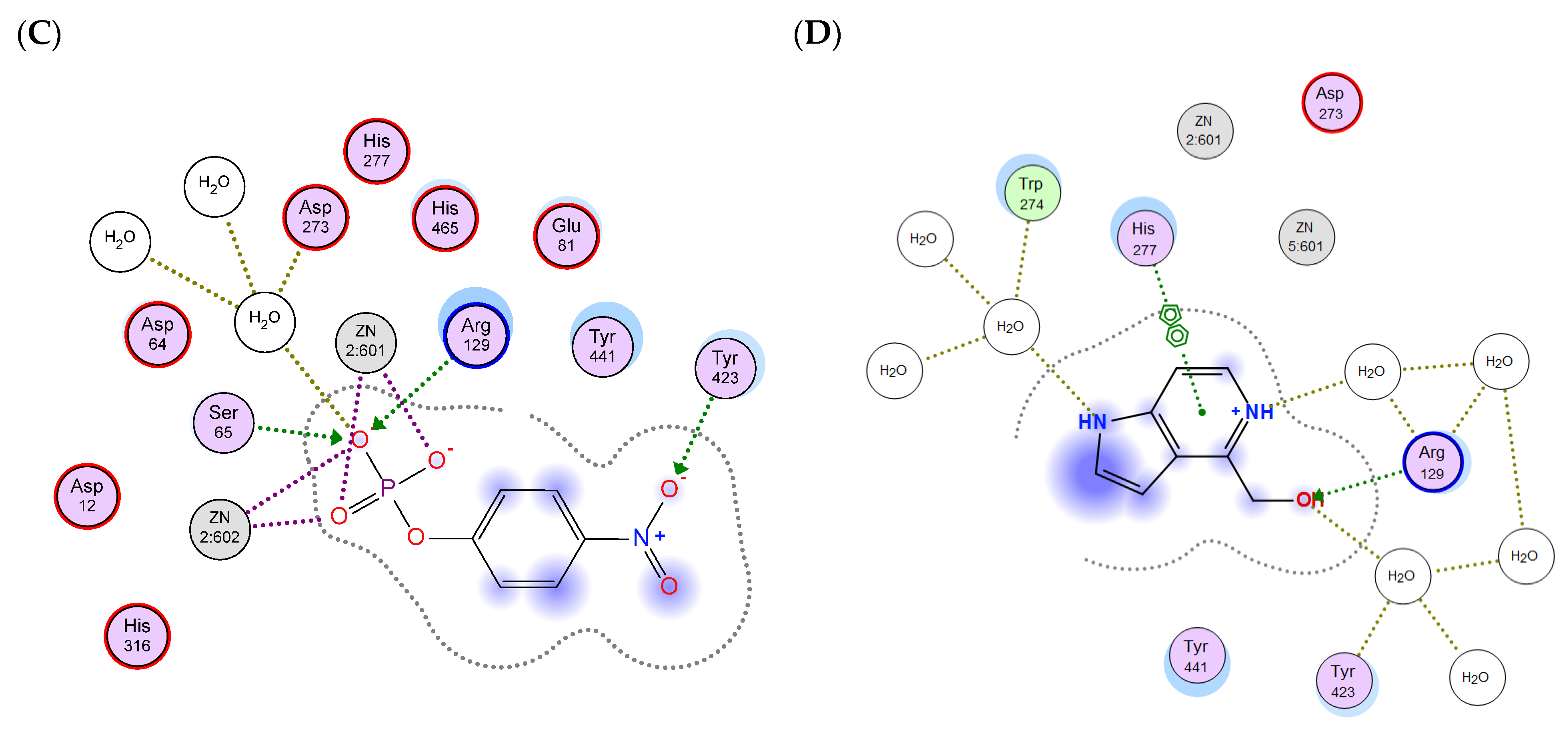 Molecules 29 05701 g005b