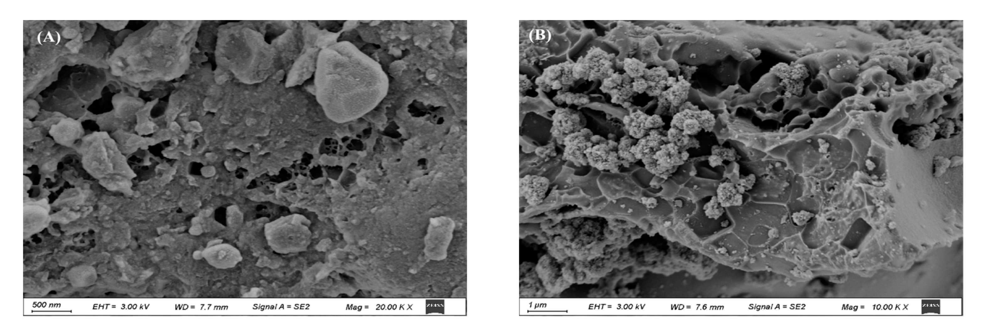Molecules 29 05704 g001