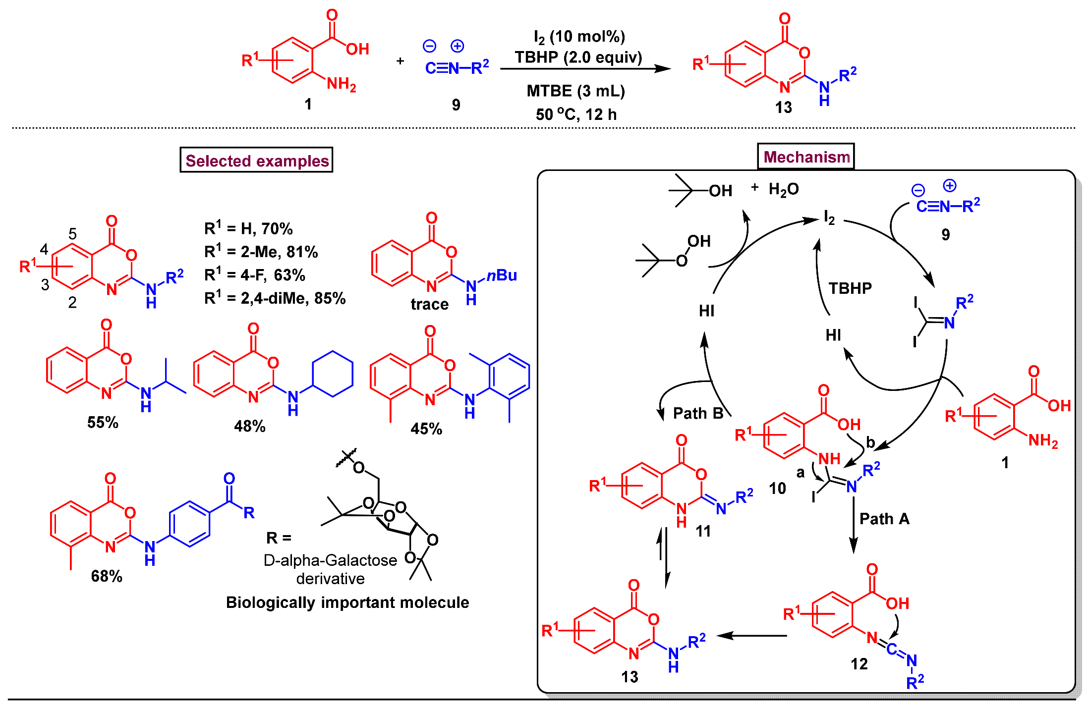 Molecules 29 05710 sch003